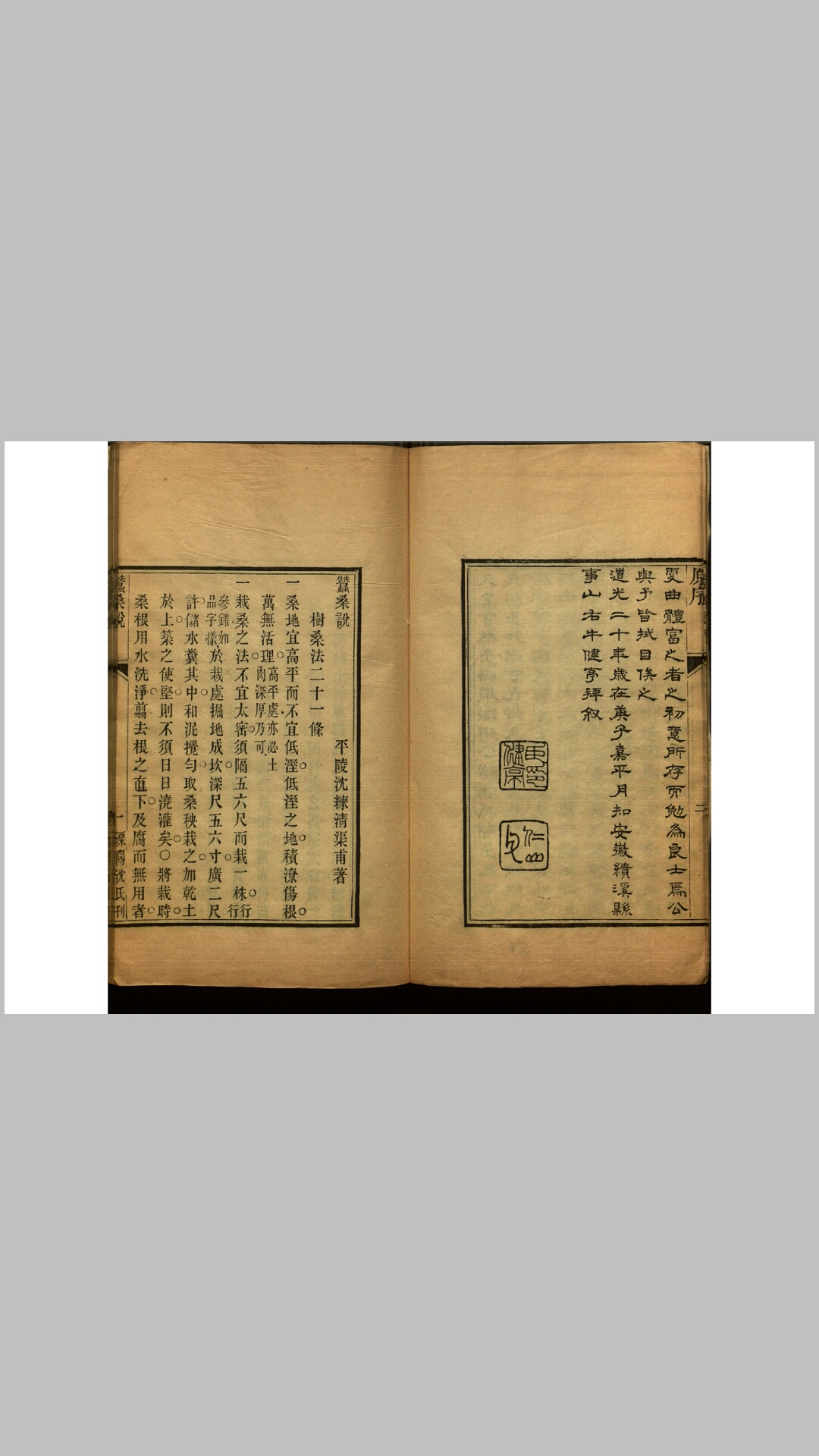 蚕说