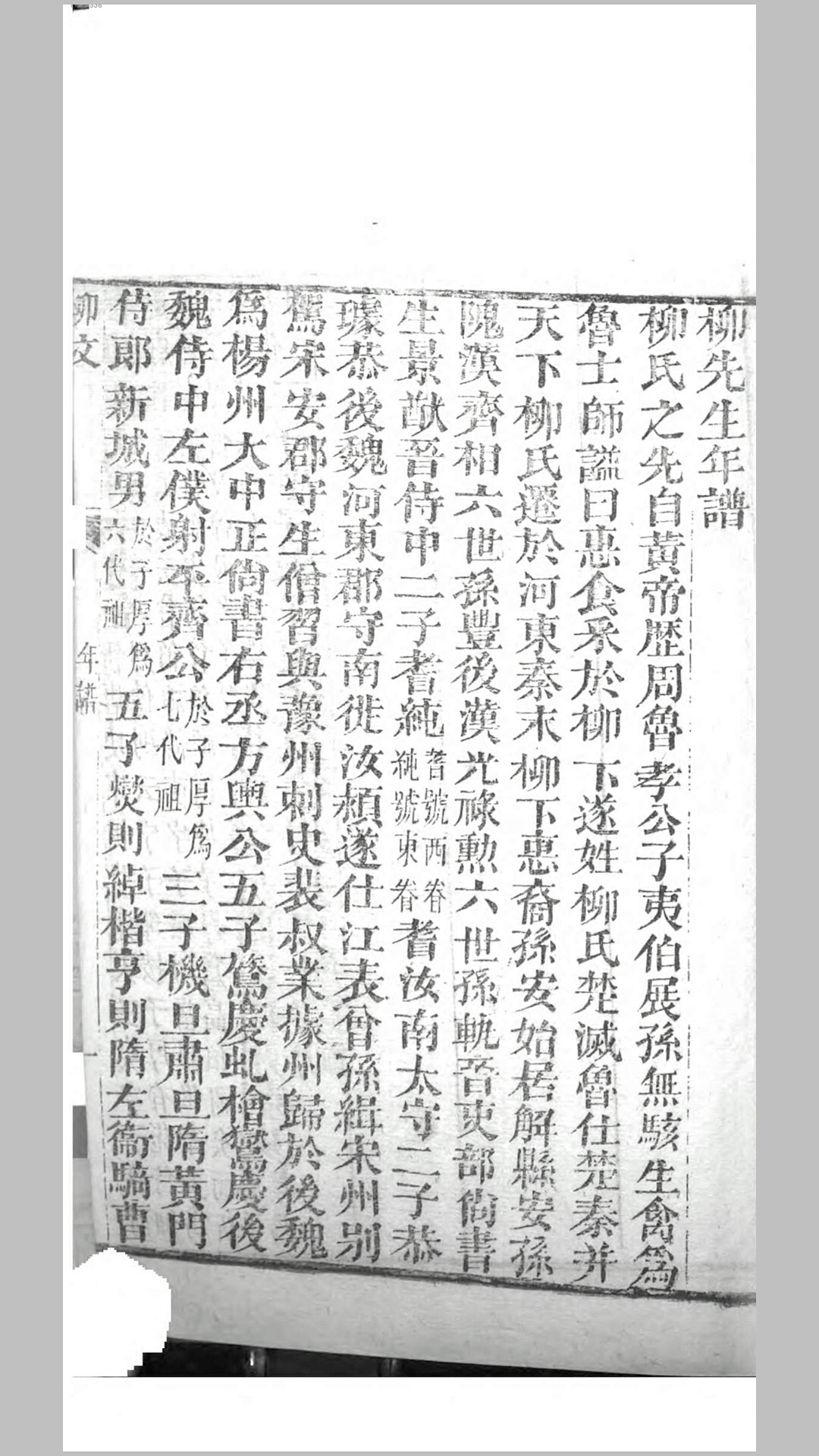 柳文