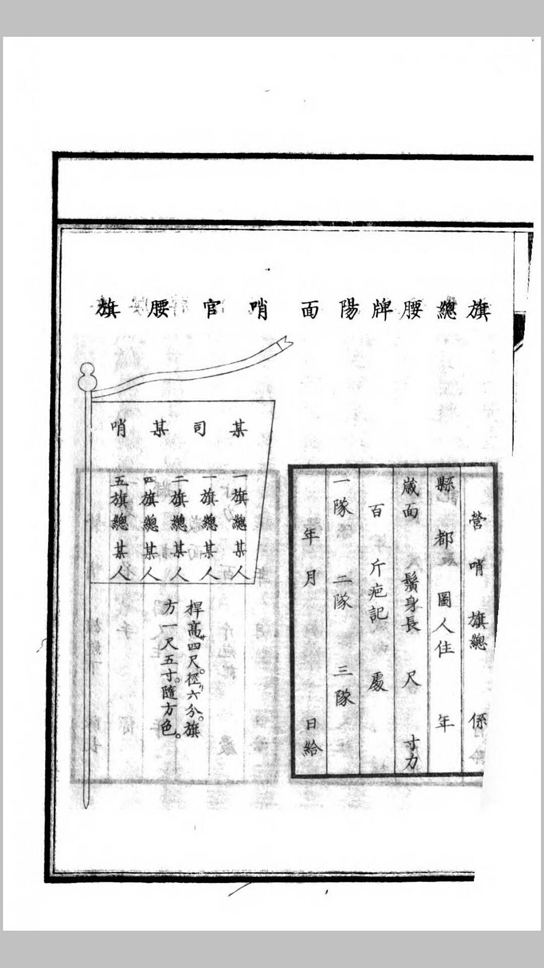 新书
