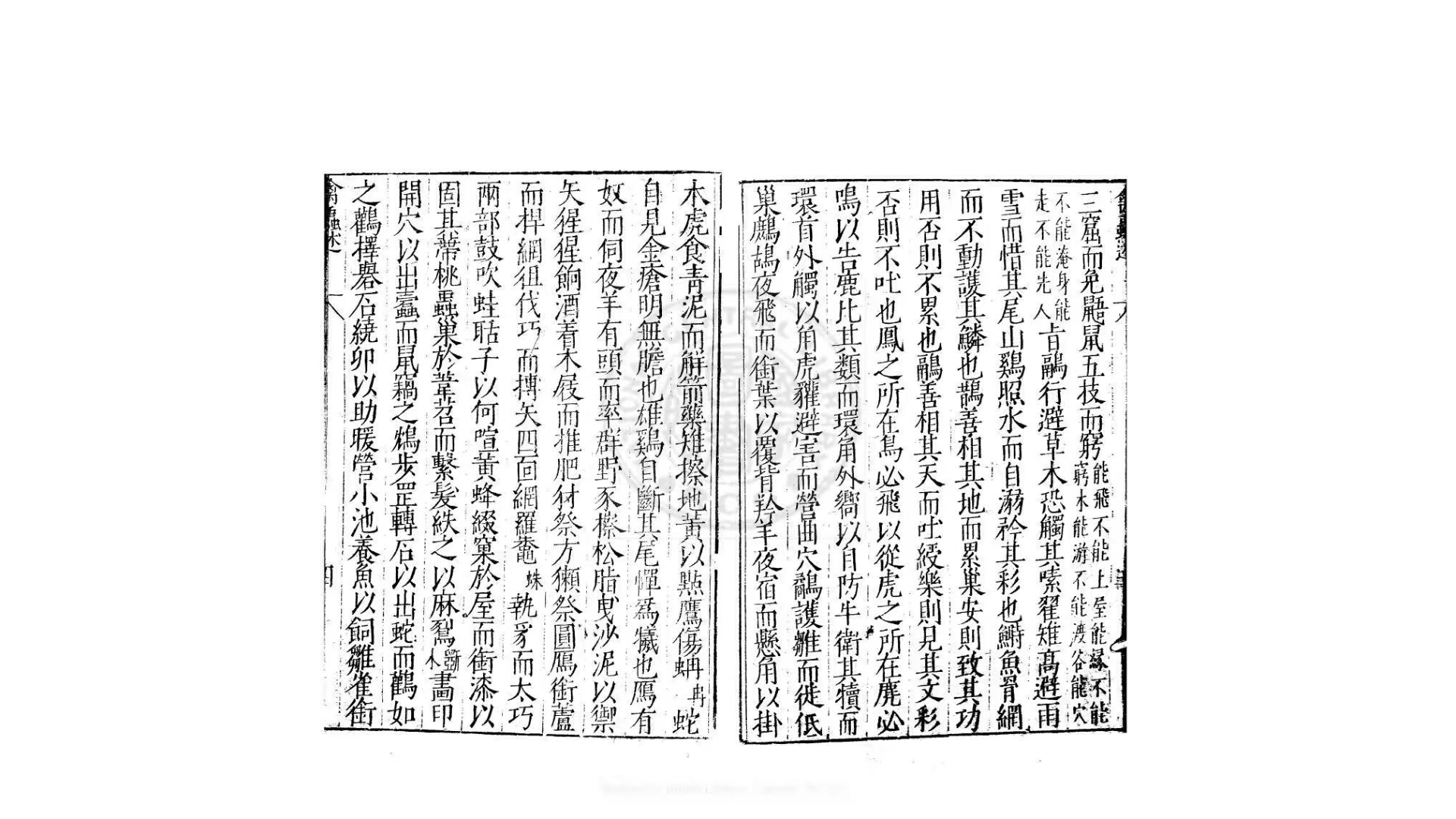 虫