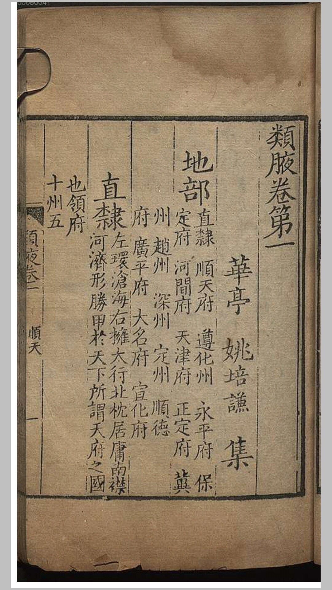类液