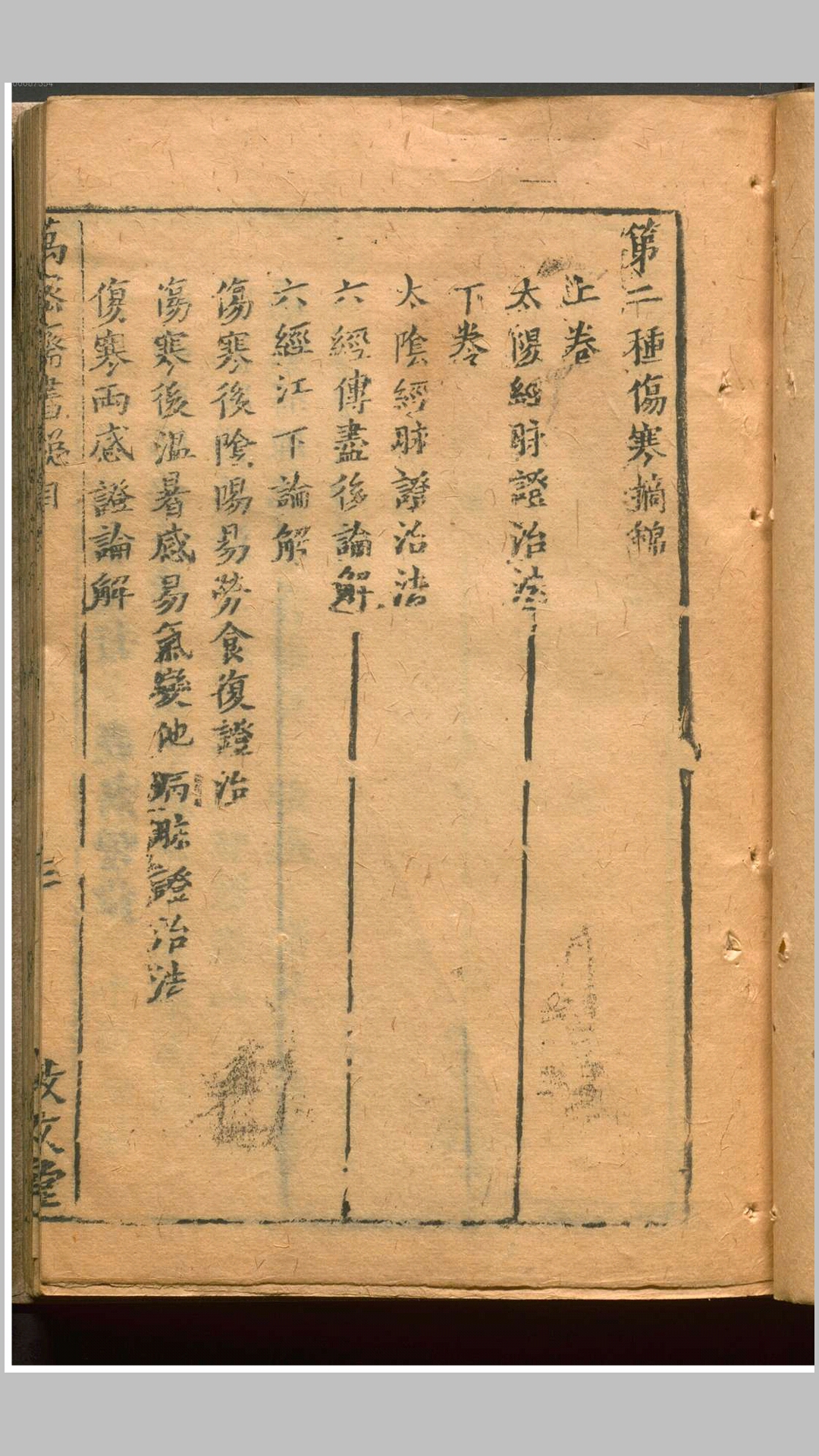 医