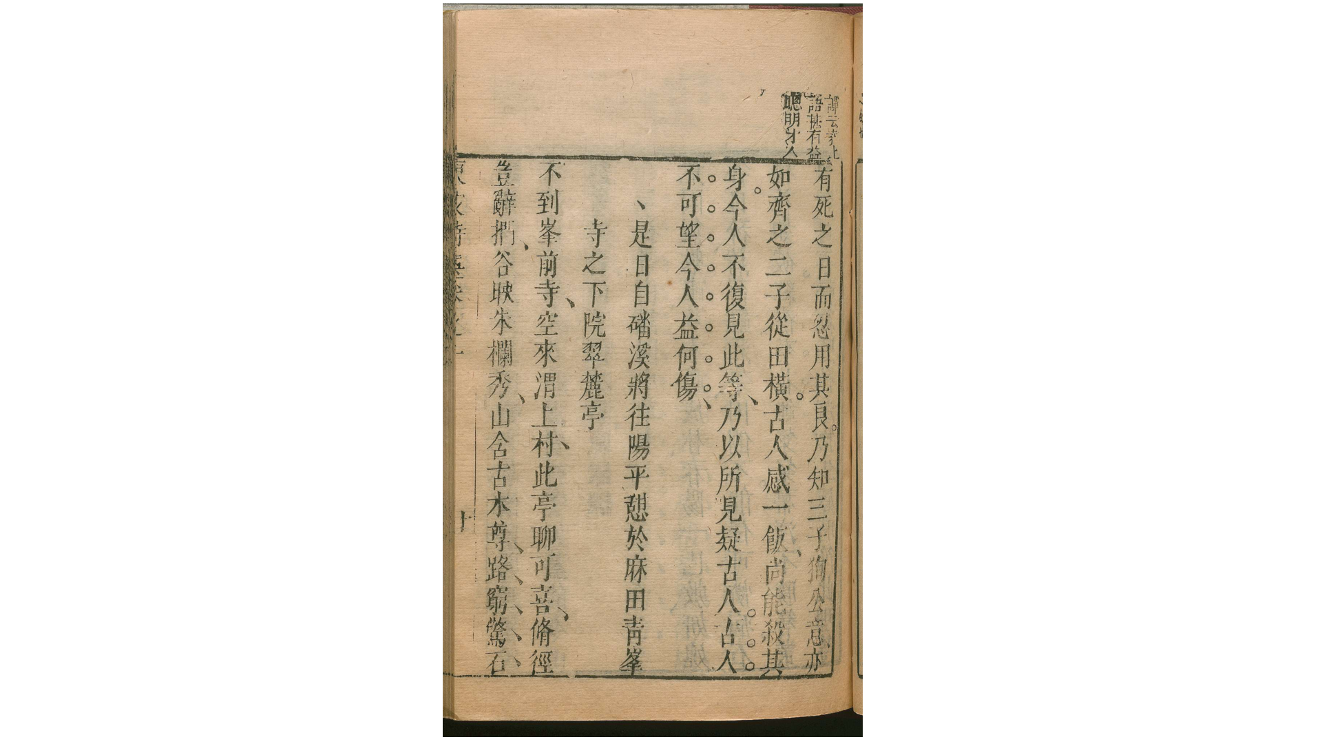 东坡