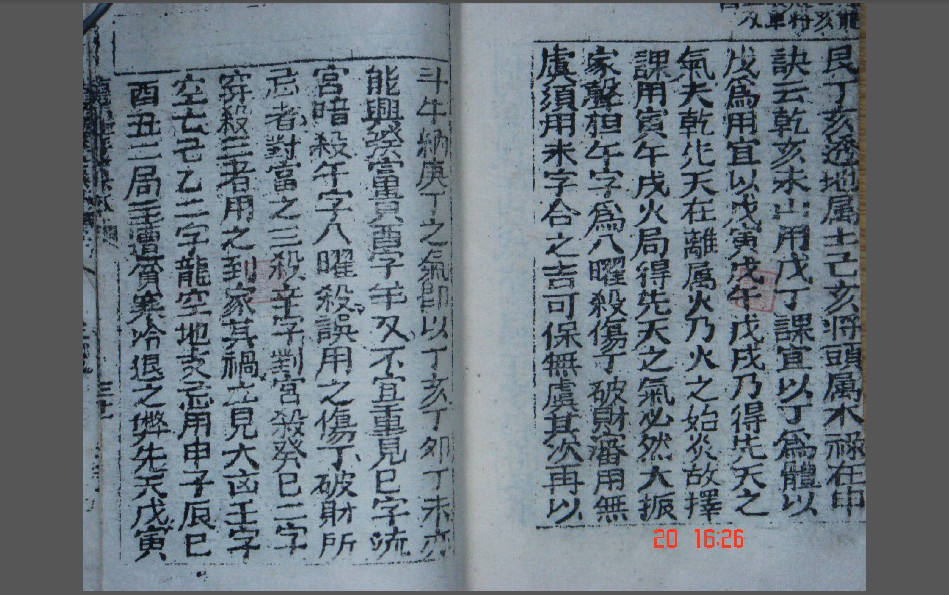 龙
