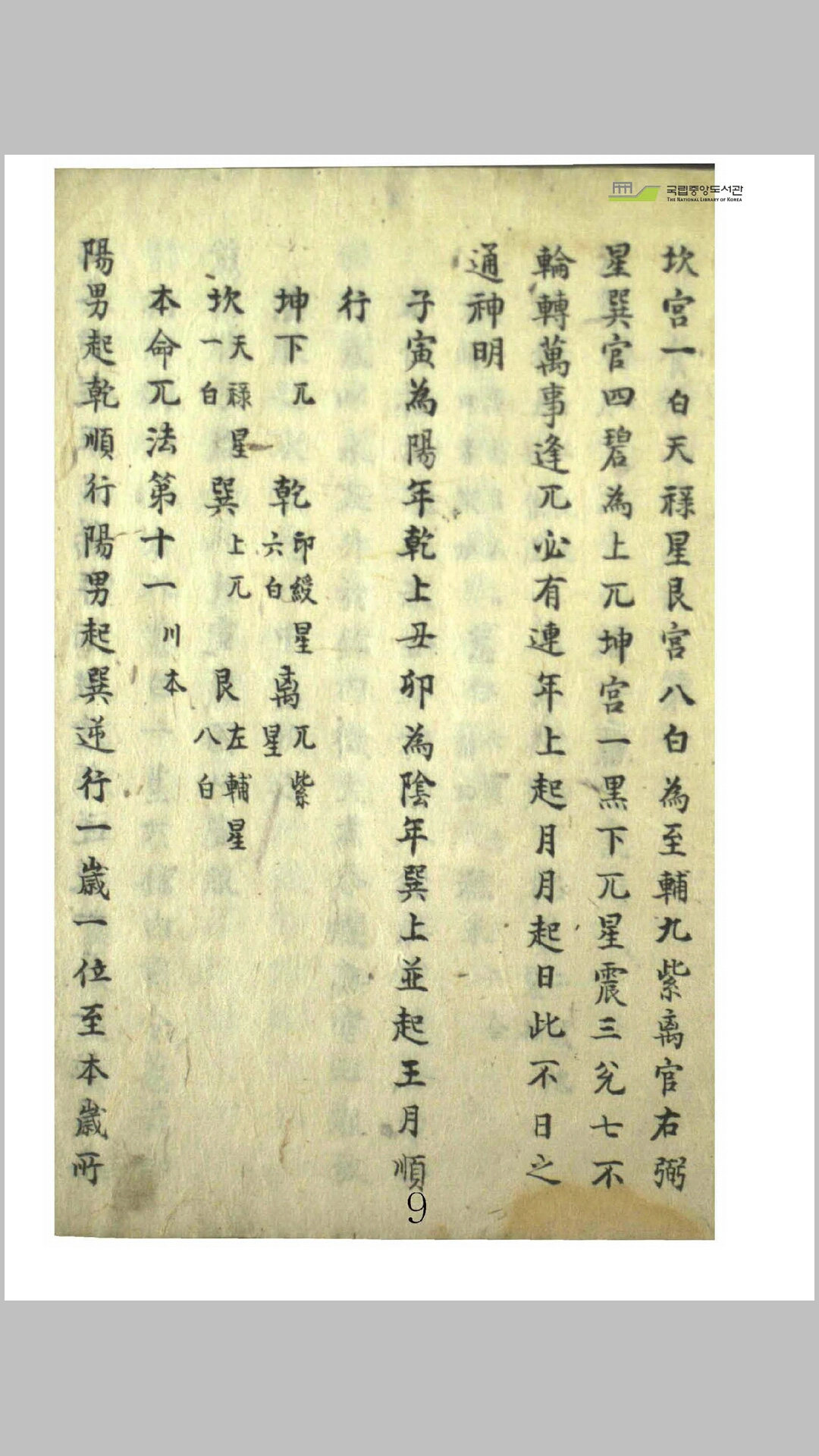 赵
