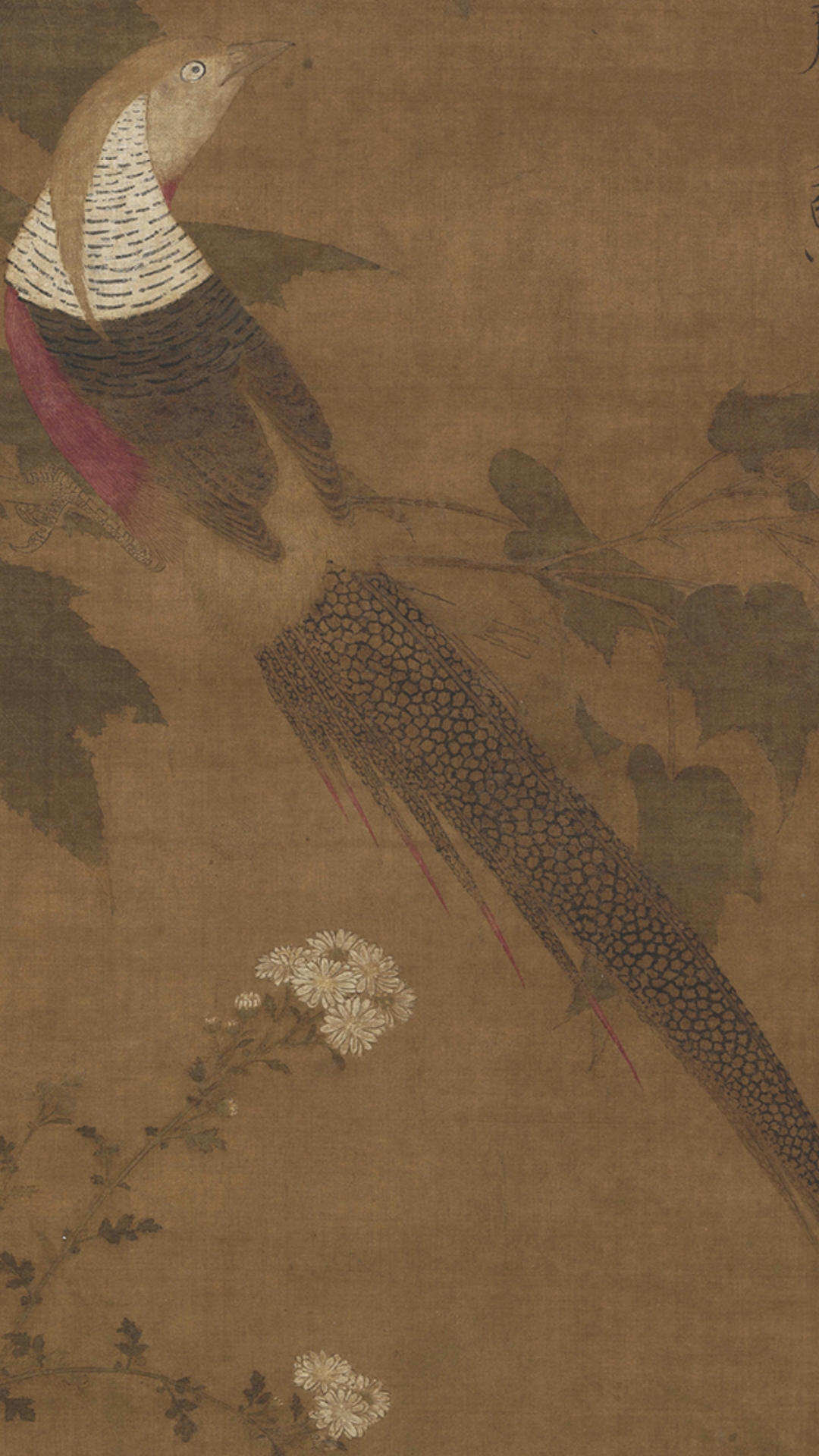 鸡