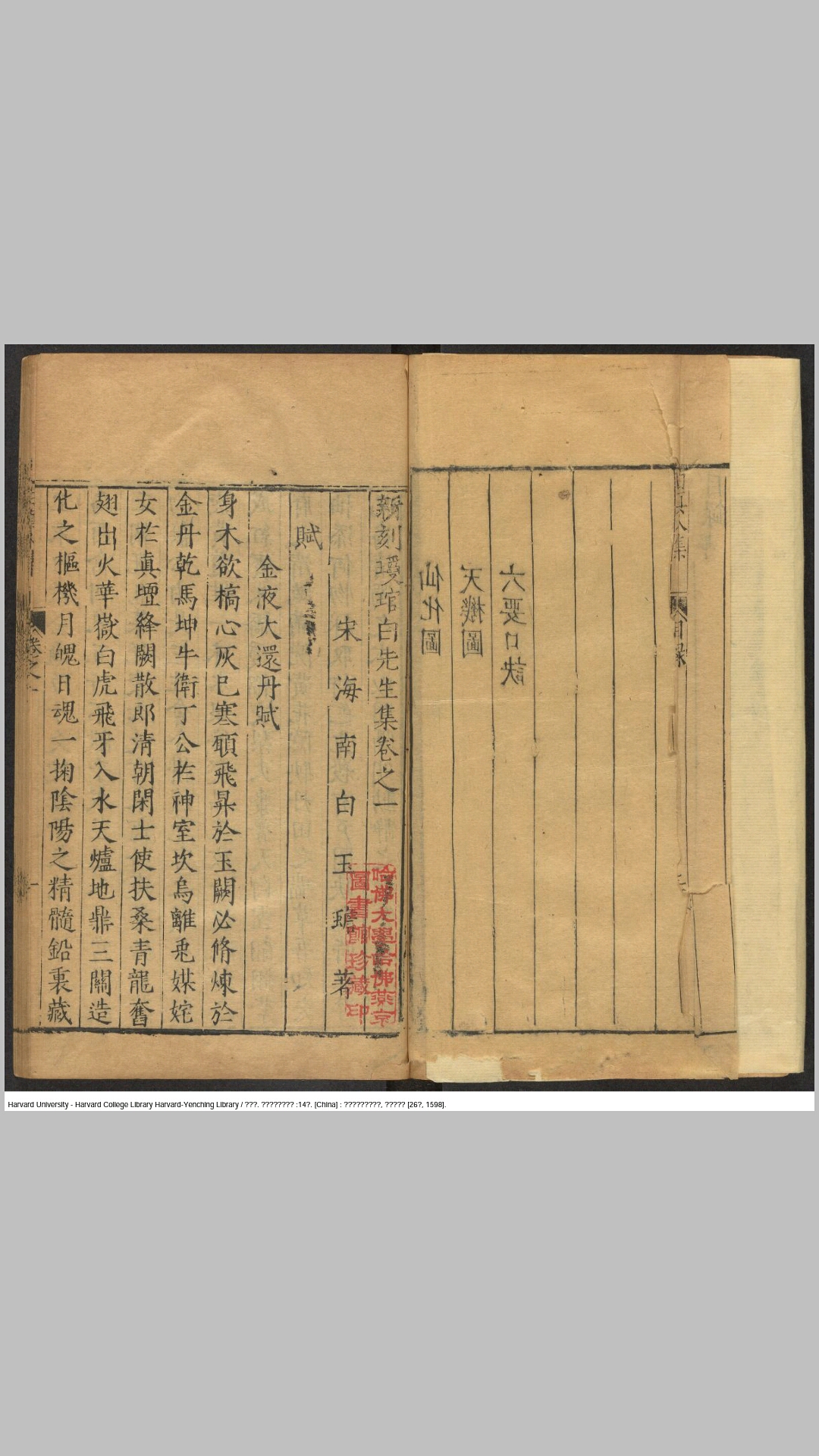 白玉