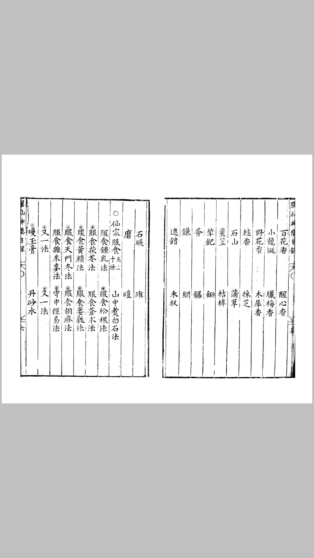 仙神