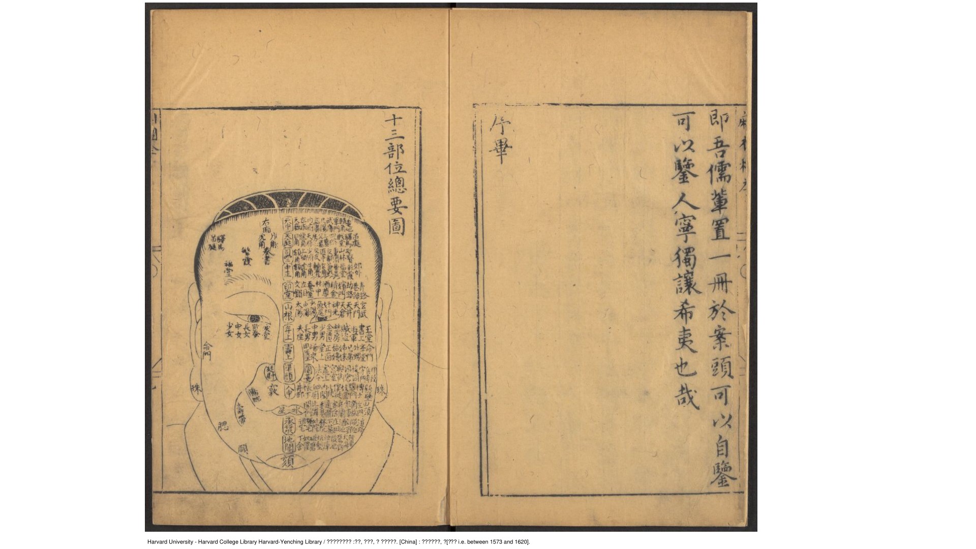 麻衣