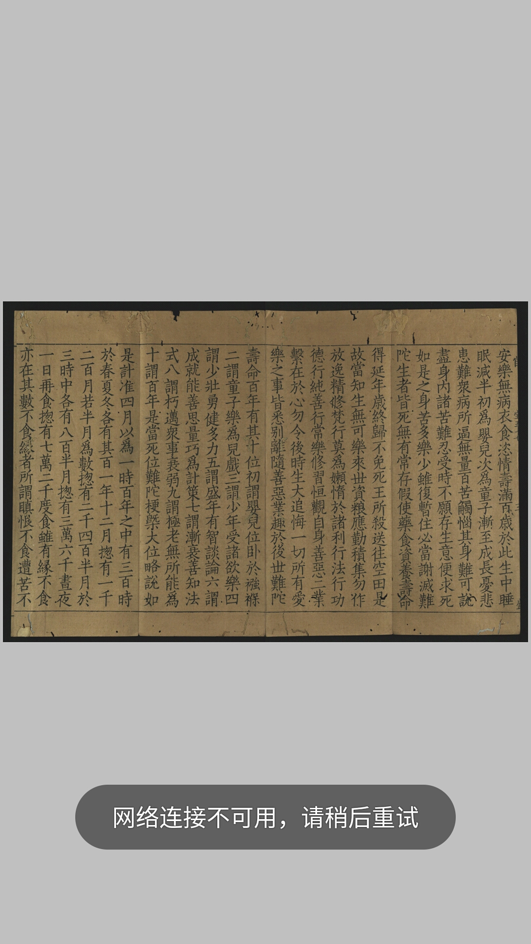 大宝