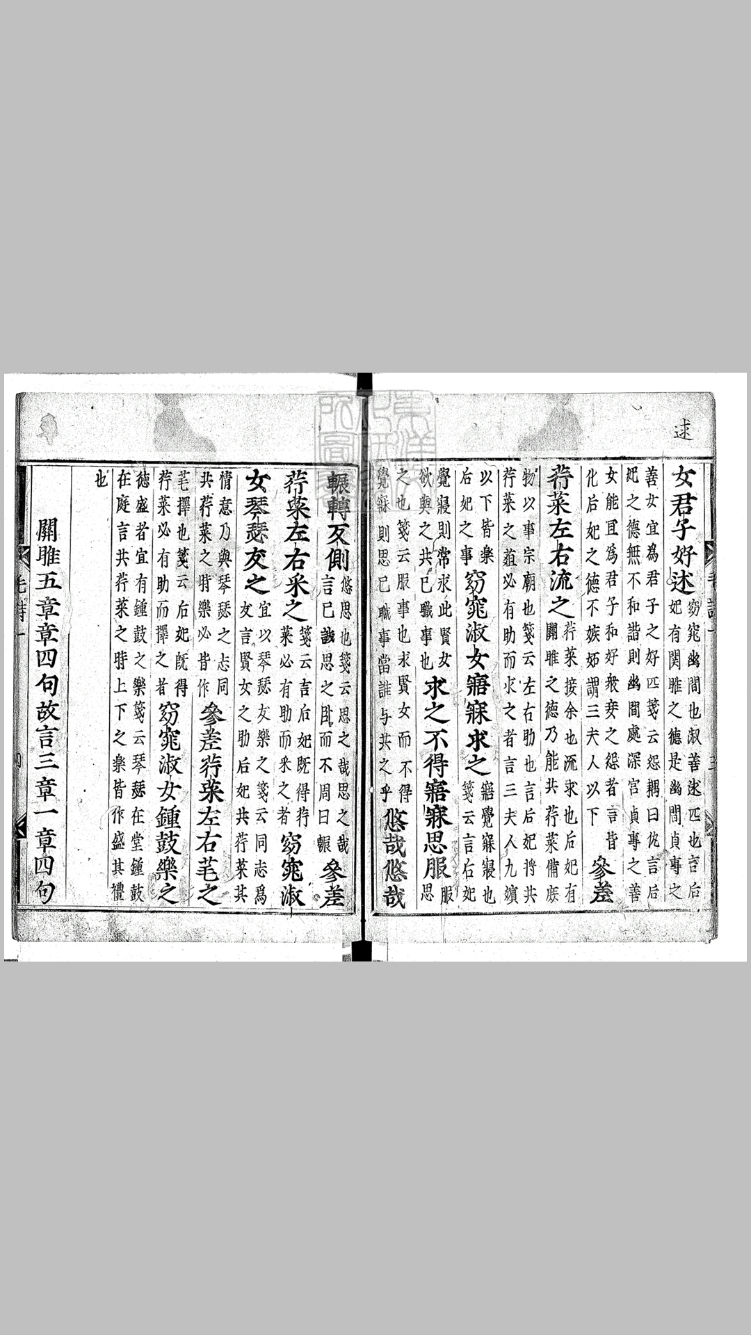 毛
