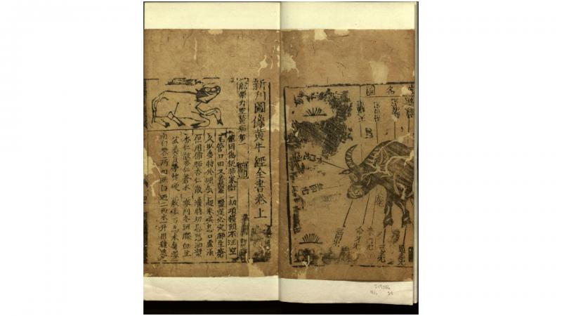 牛经