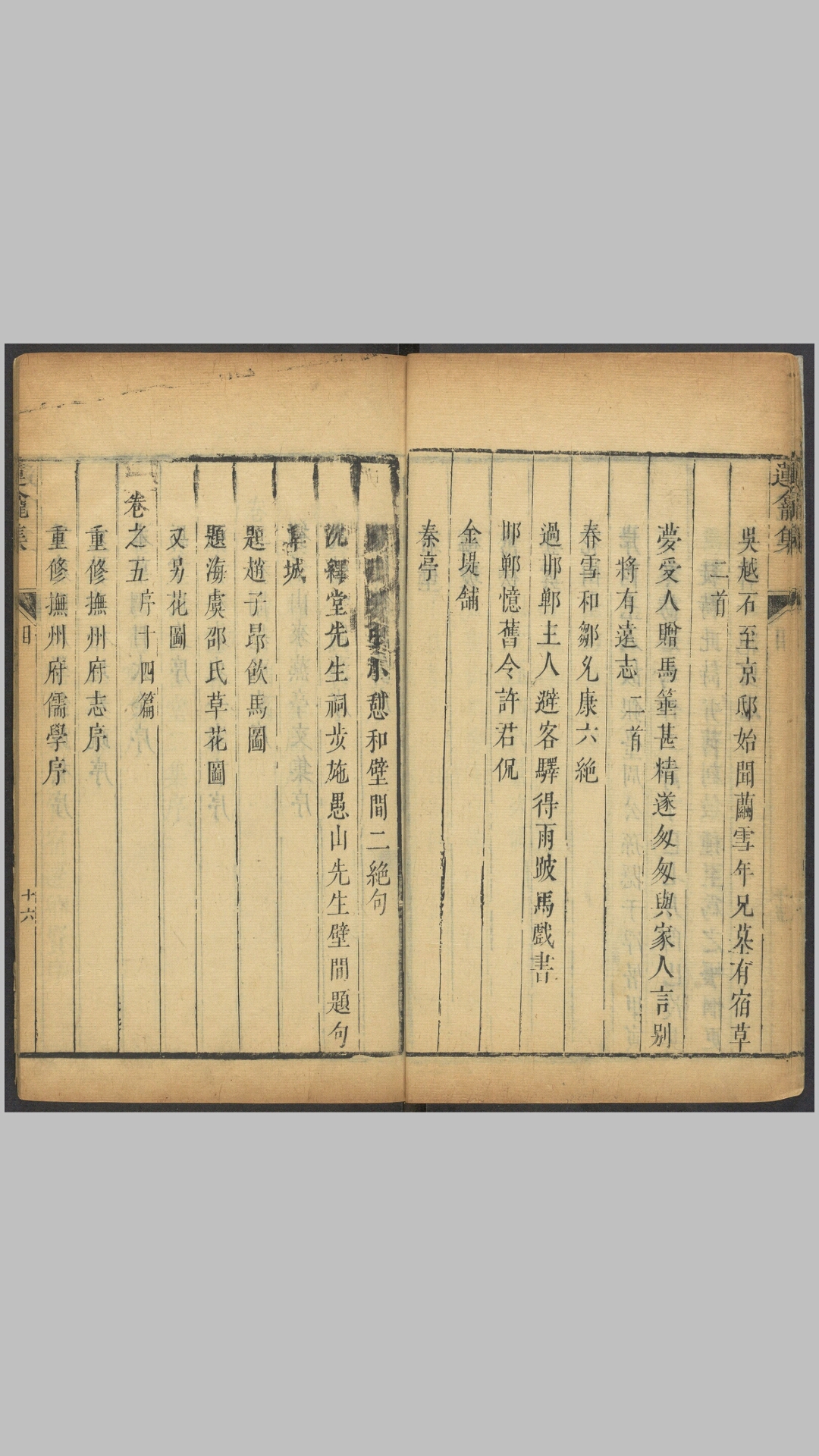 莲