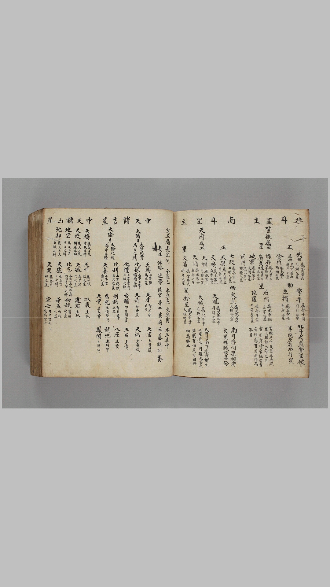 紫薇