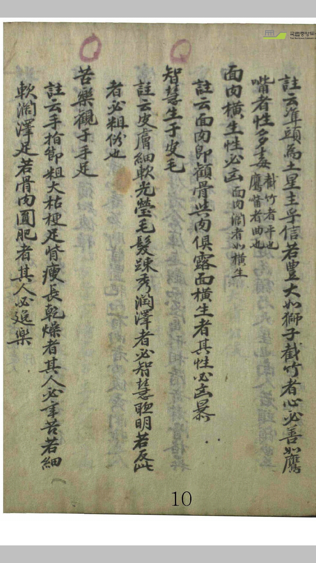 麻衣