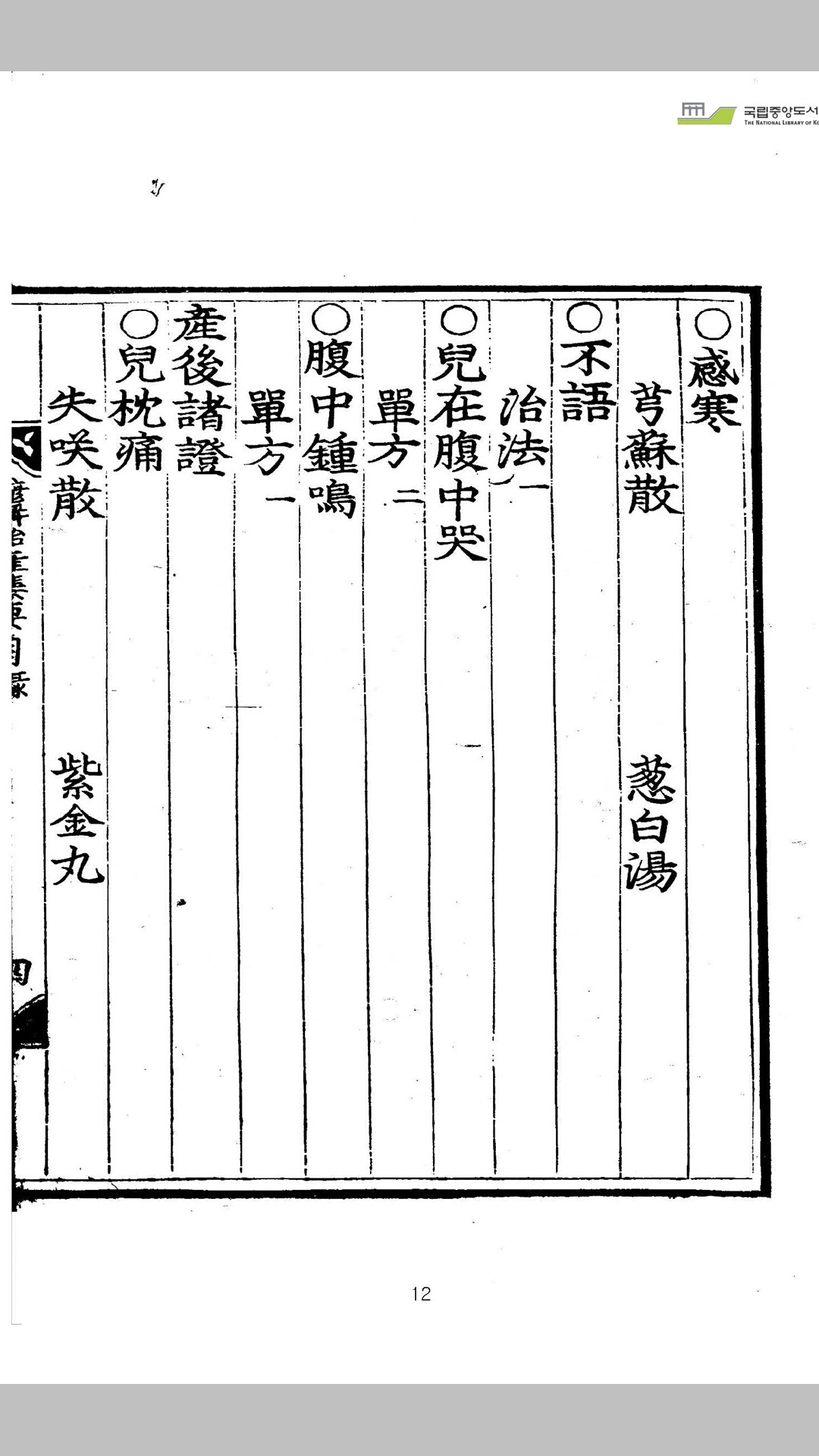 胎