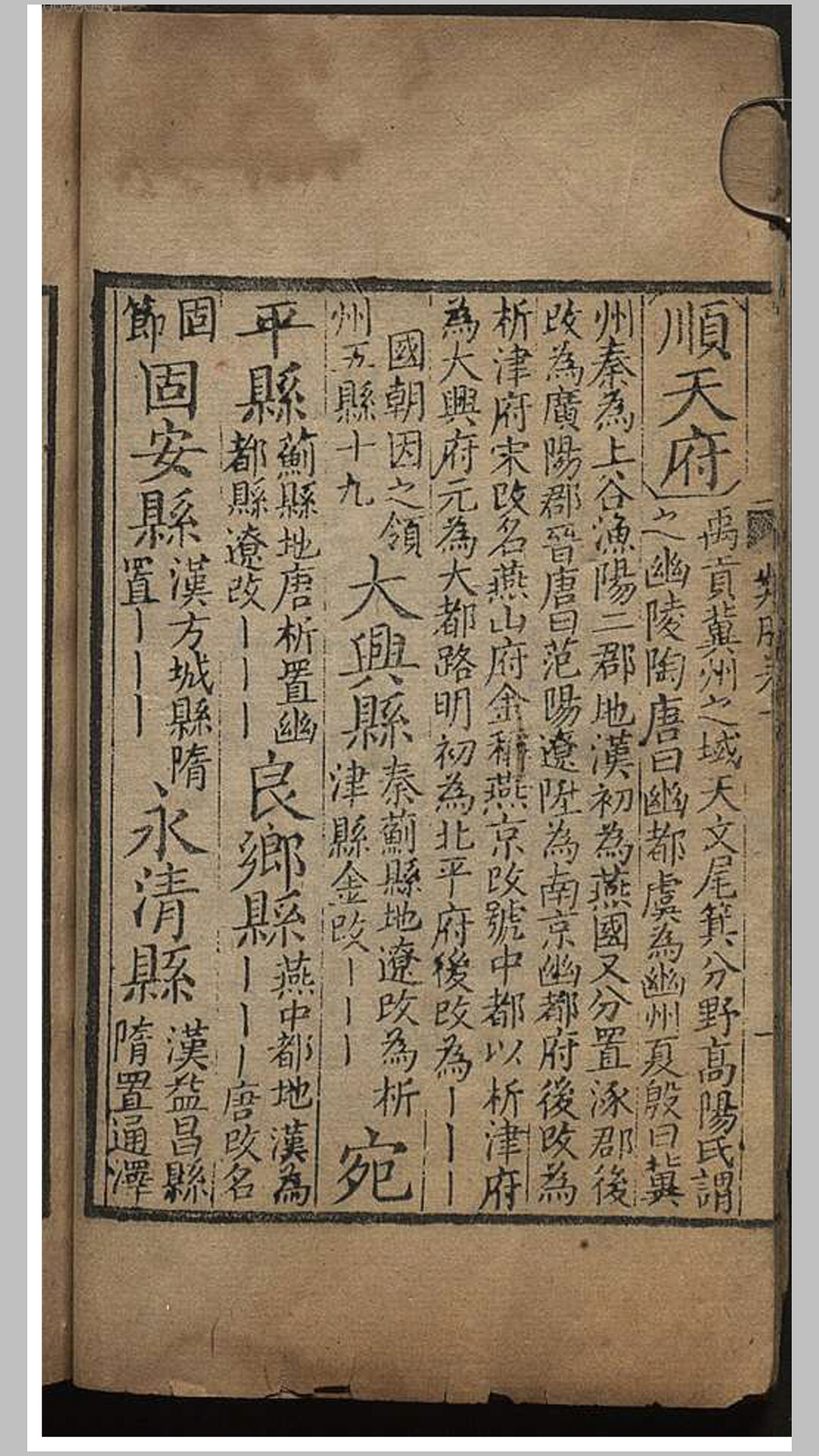 类液