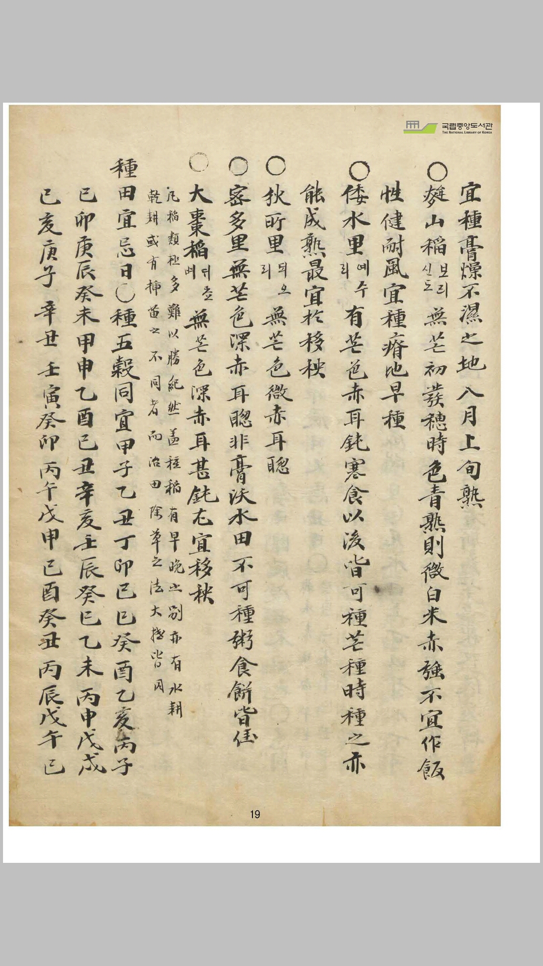 山林