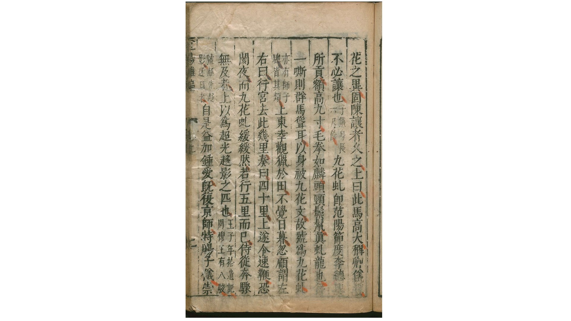 杜阳