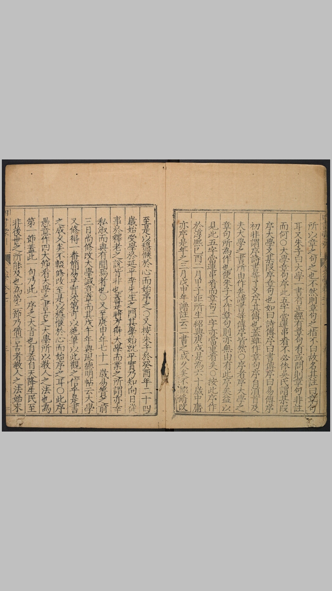 引蒙