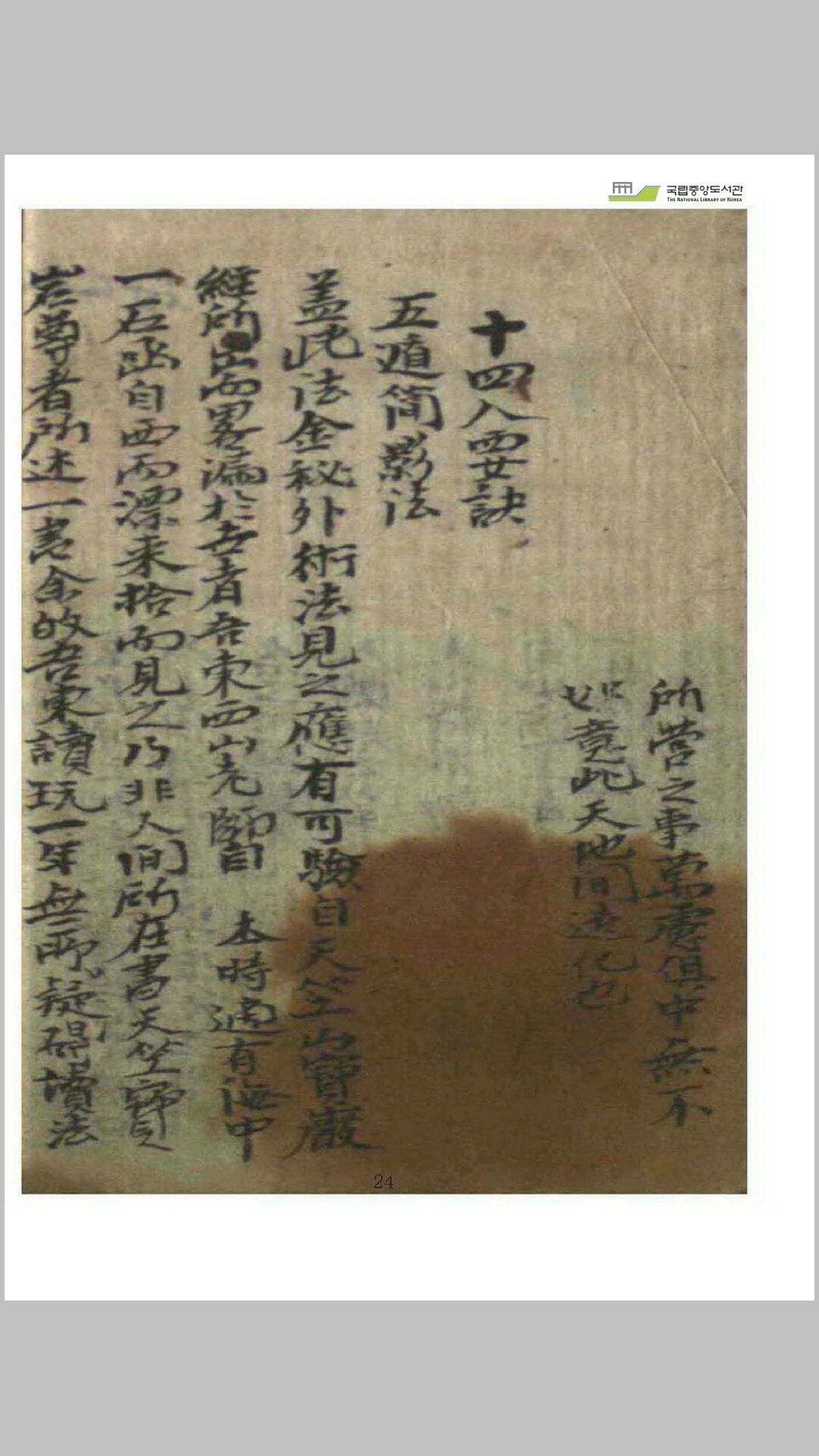 仙