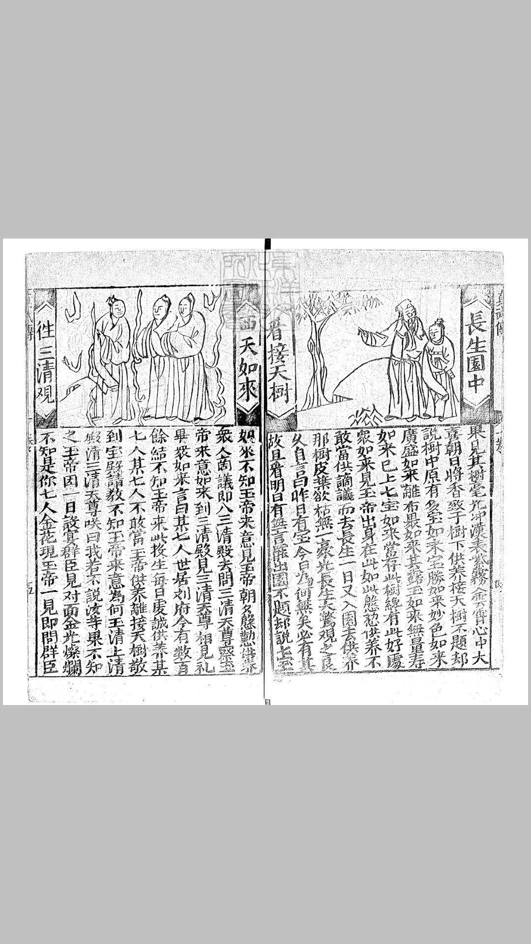 志