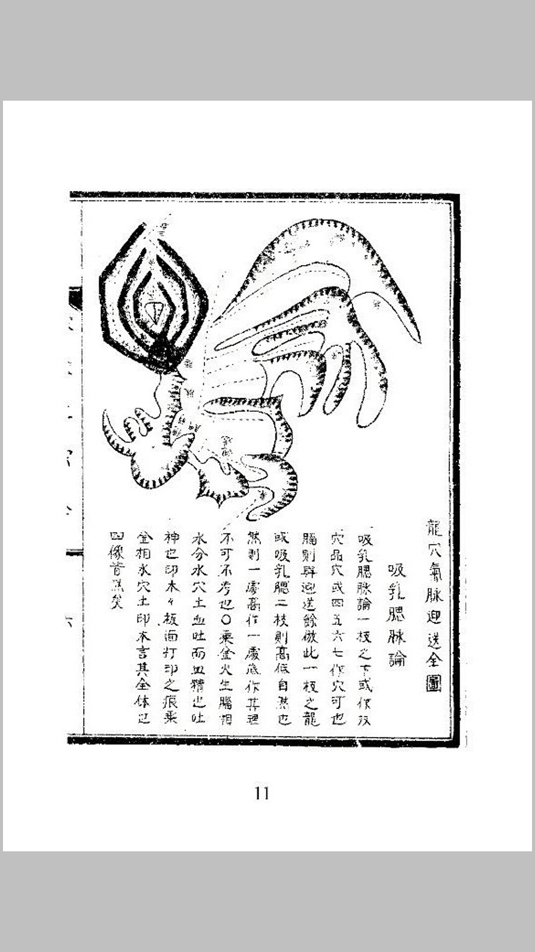风