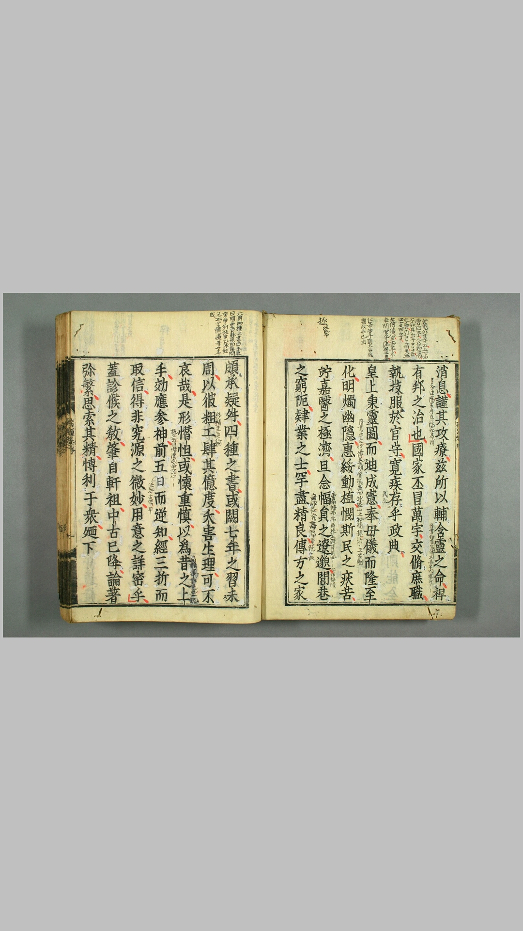巢