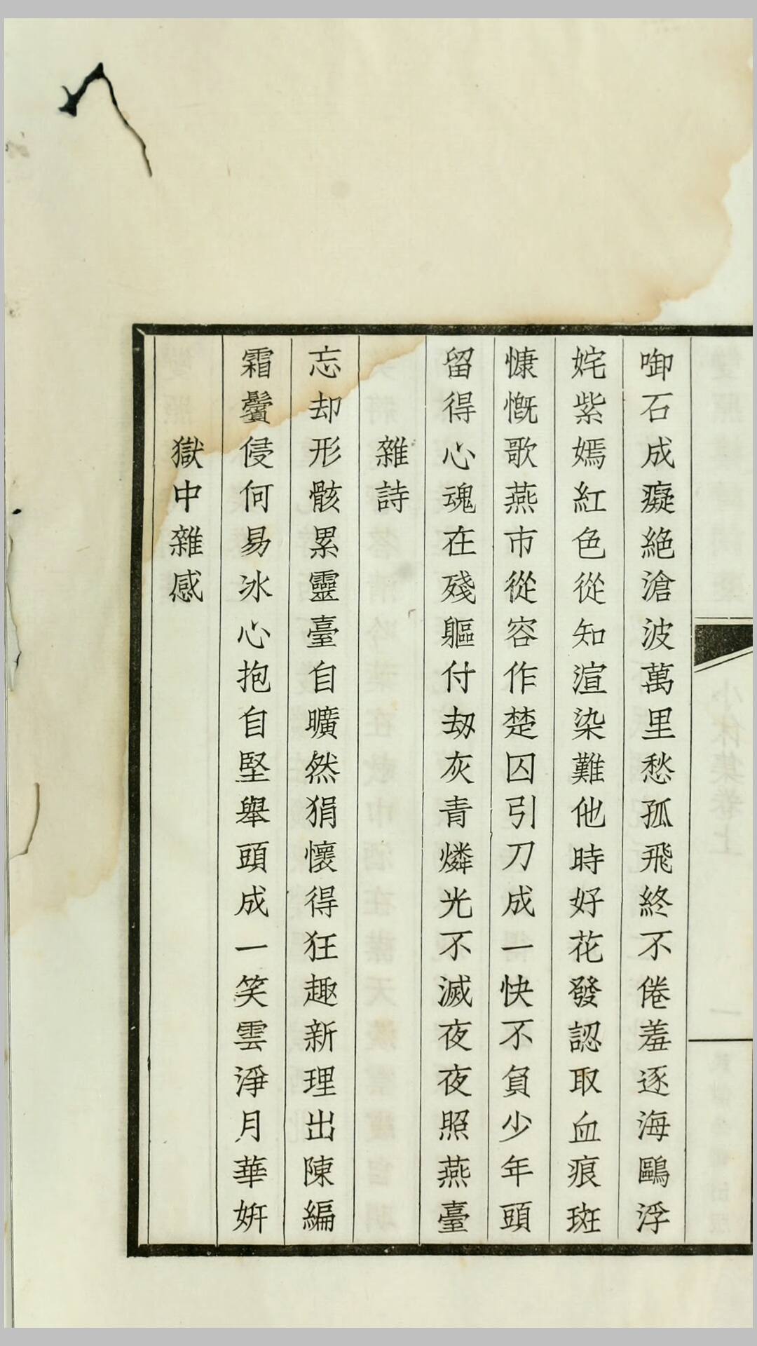 双照