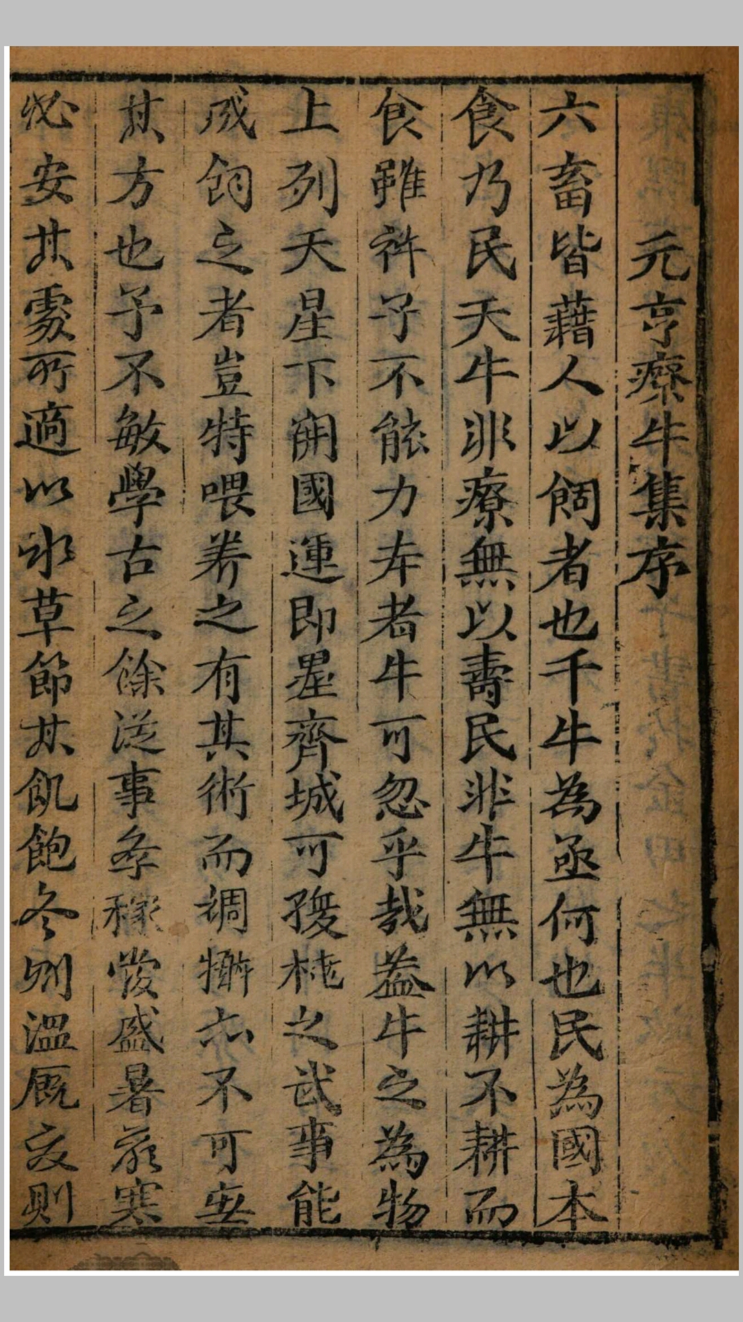 牛精