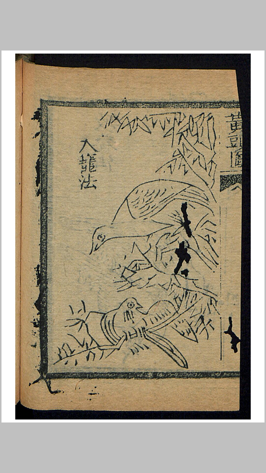 黄