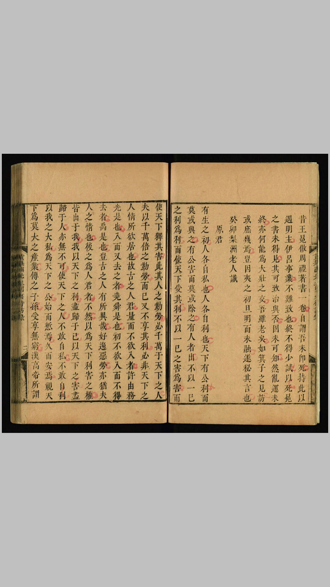 黄梨