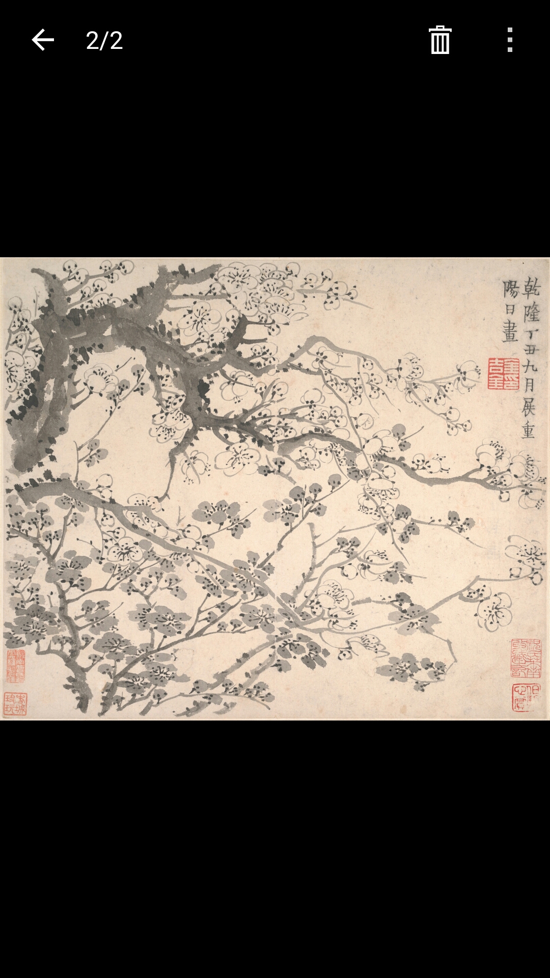 梅花