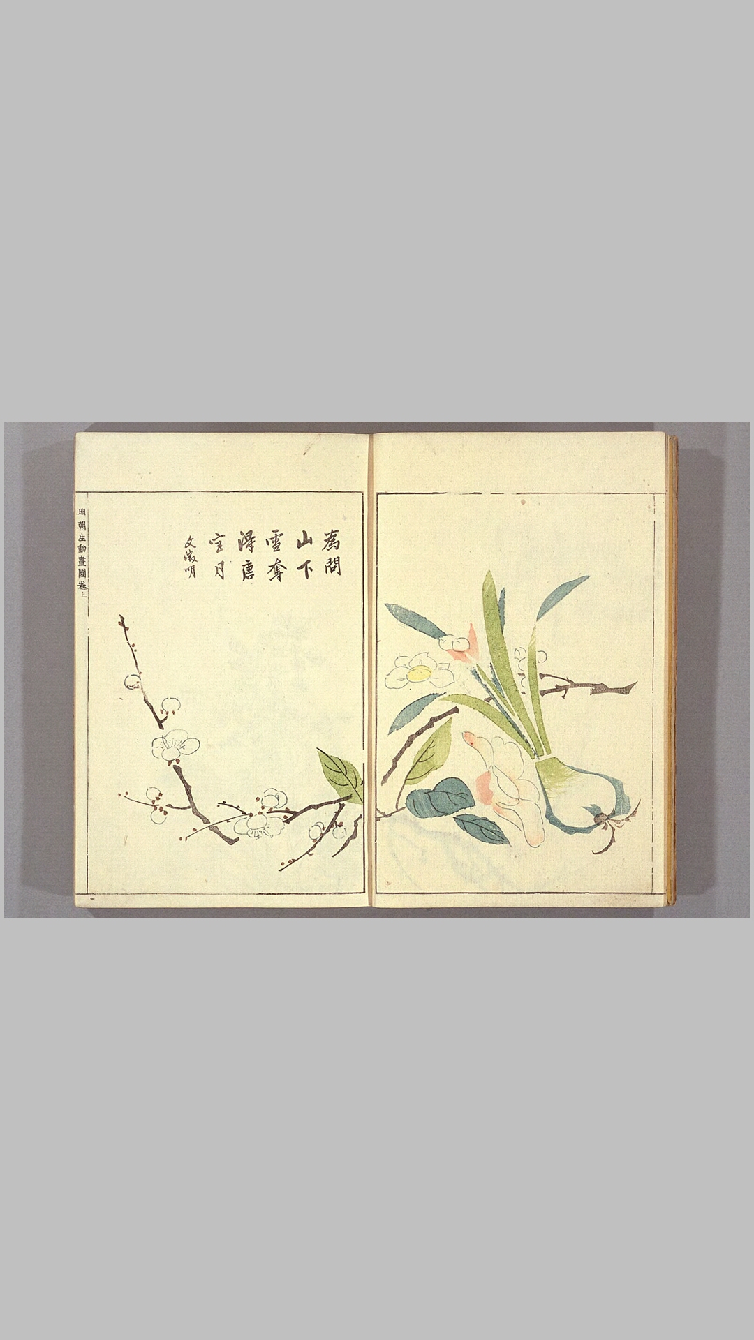 明朝
