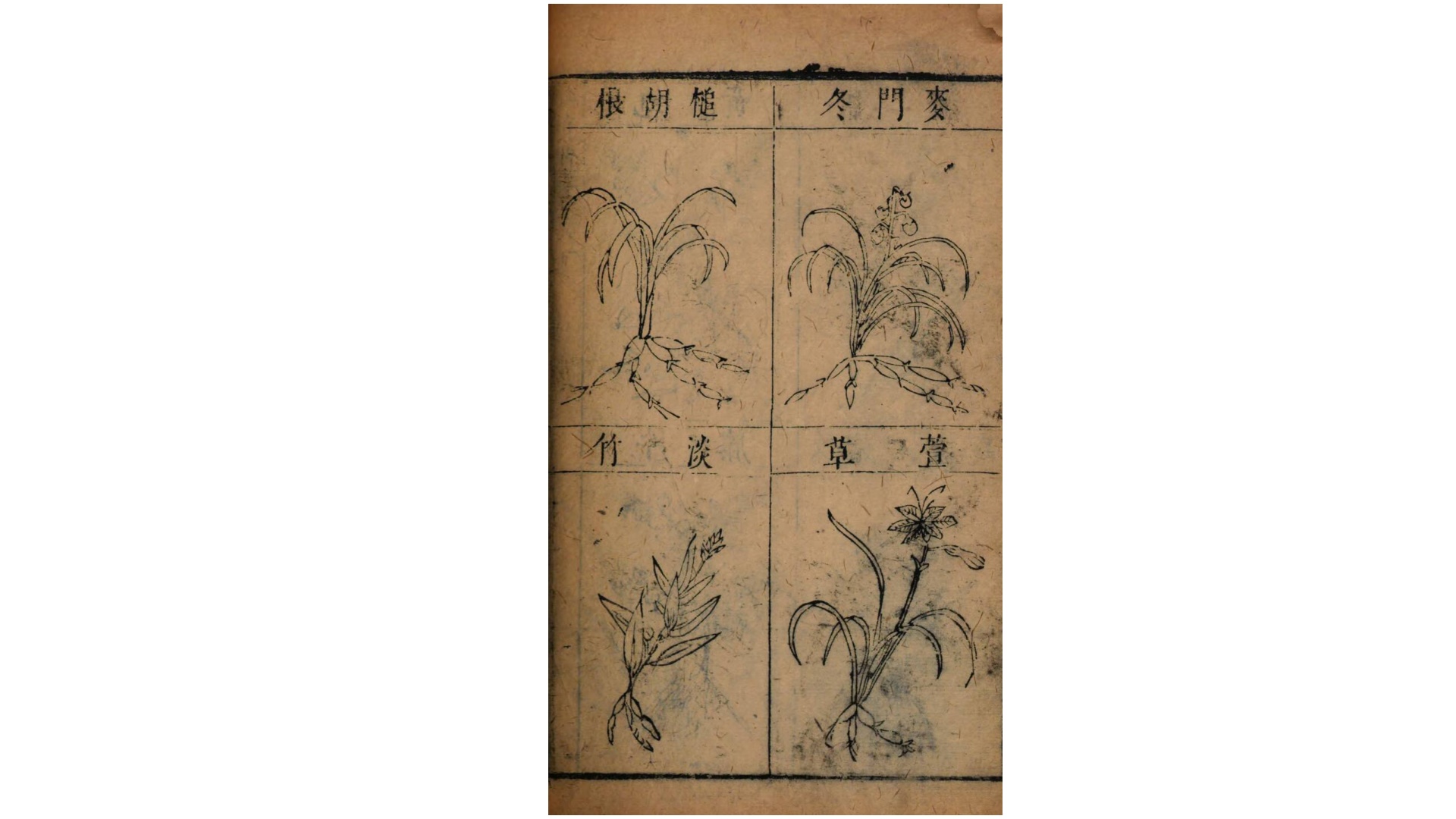 本草