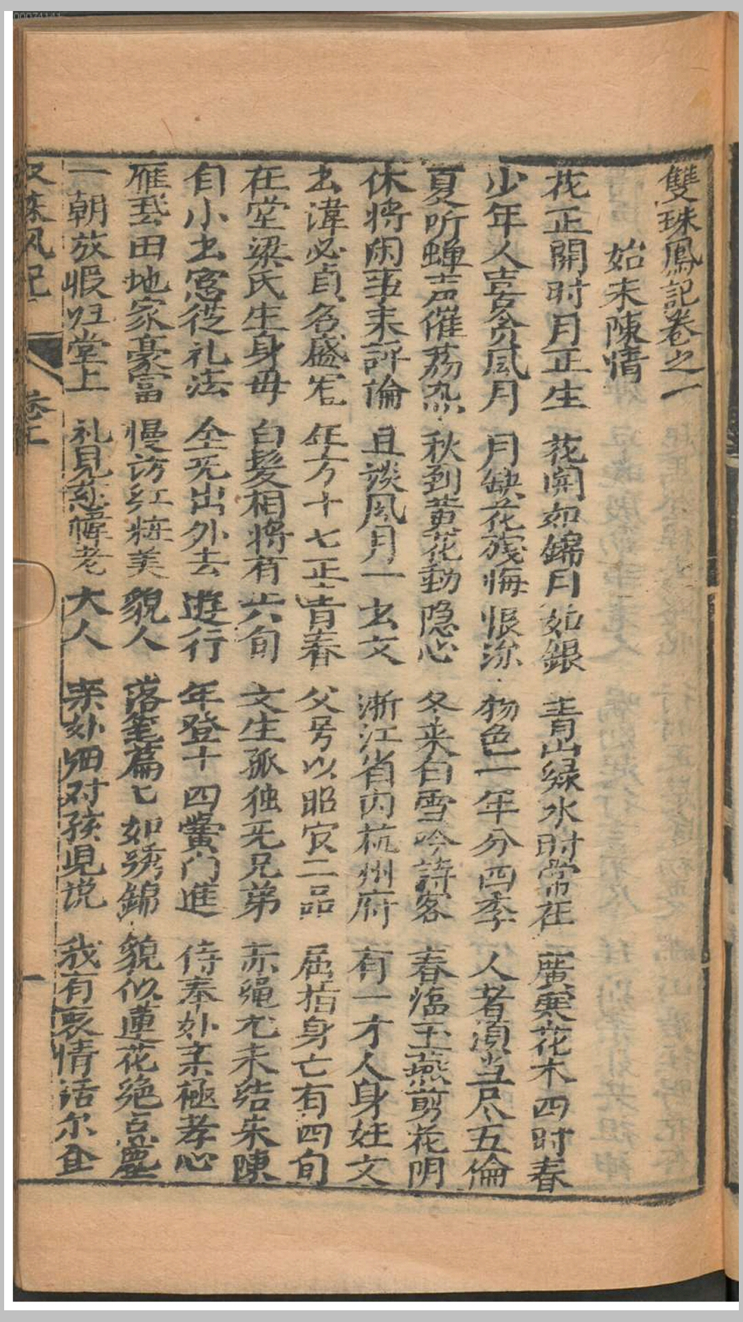 龙珠