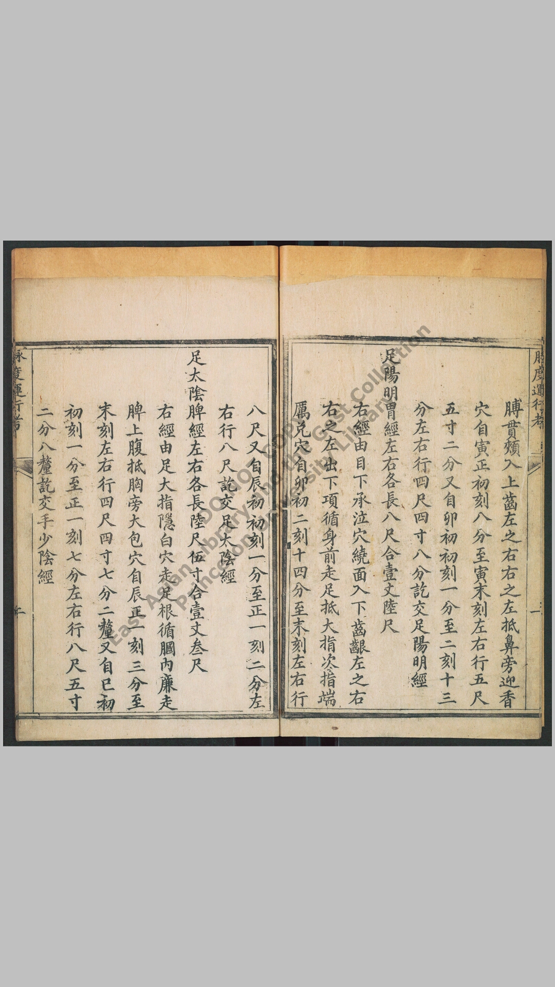 脉