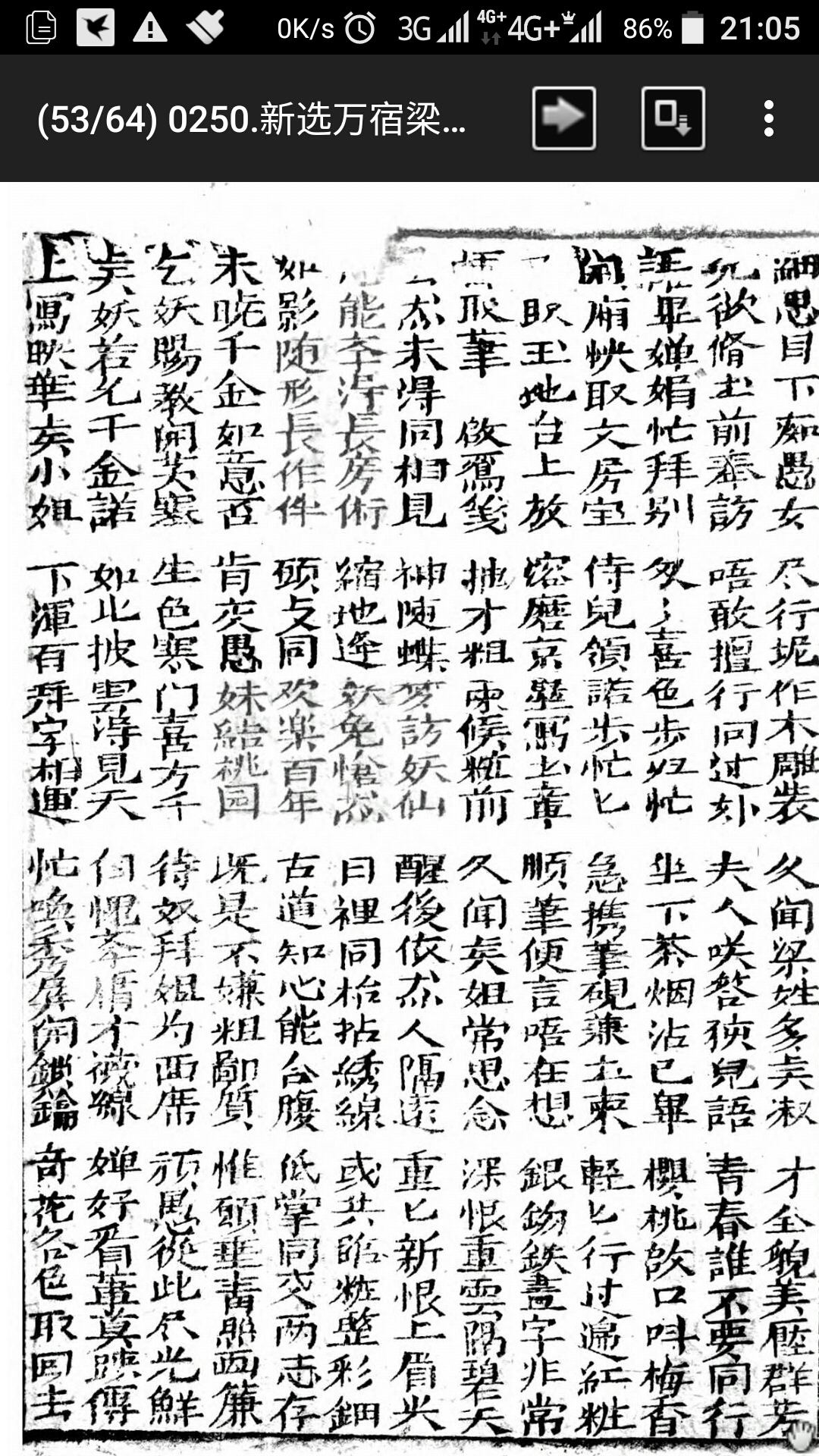 梁