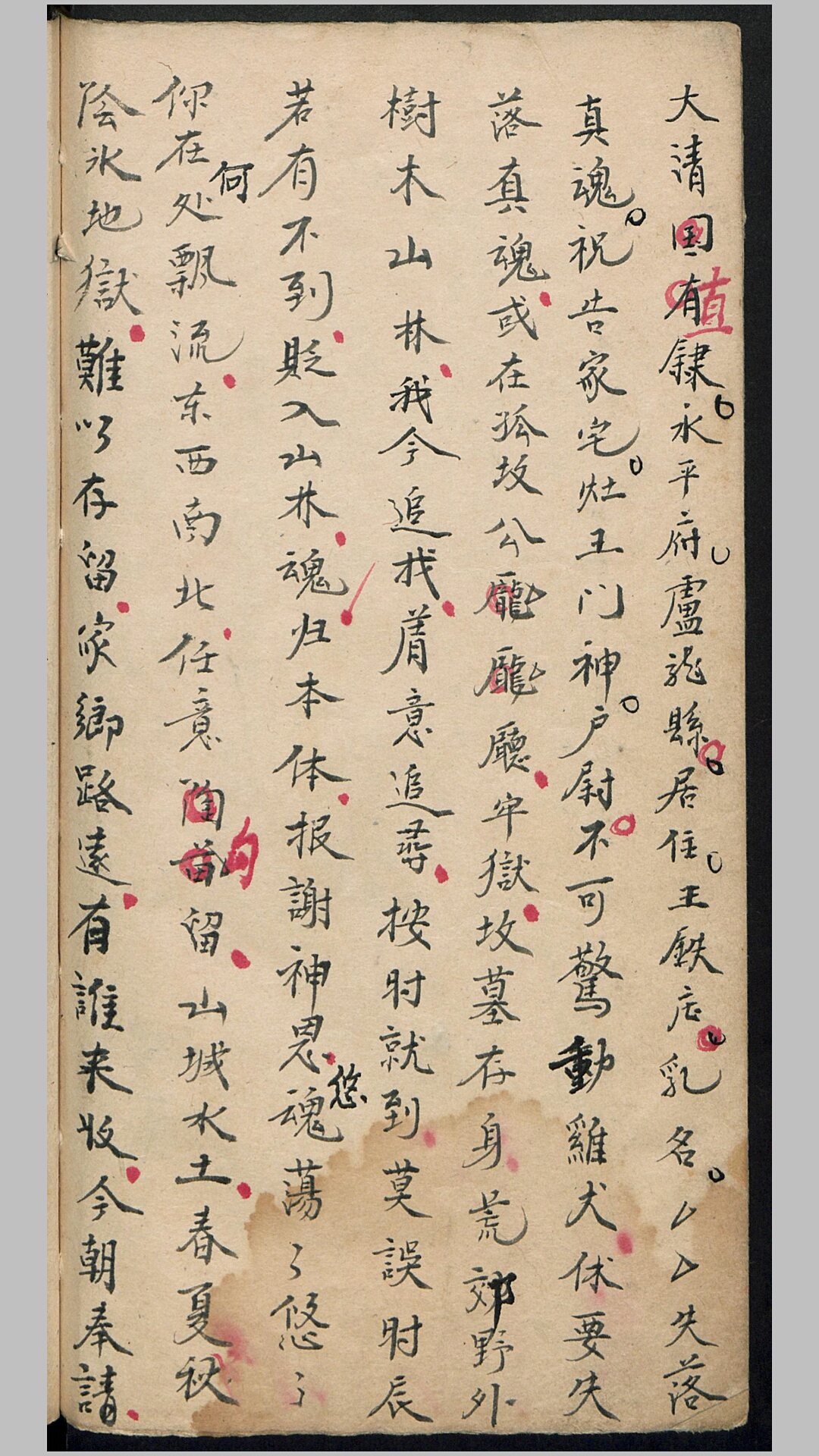 道