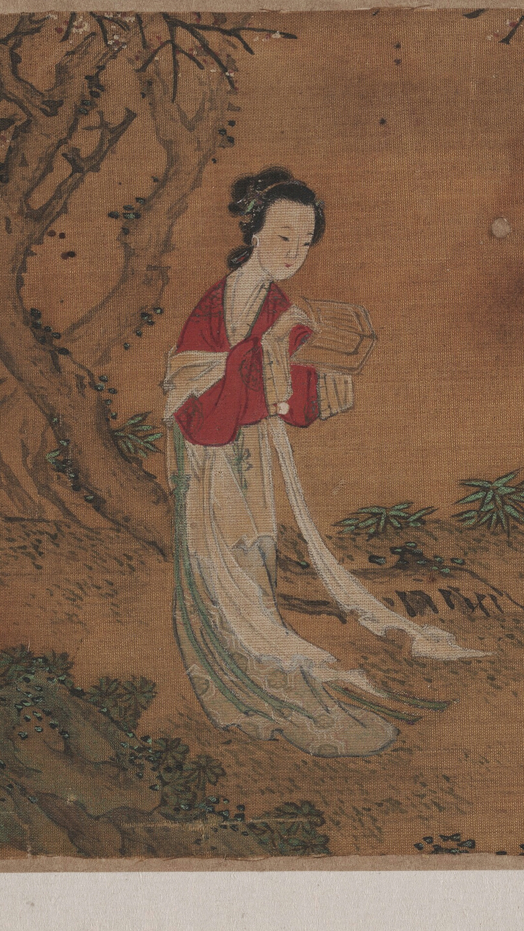 女图
