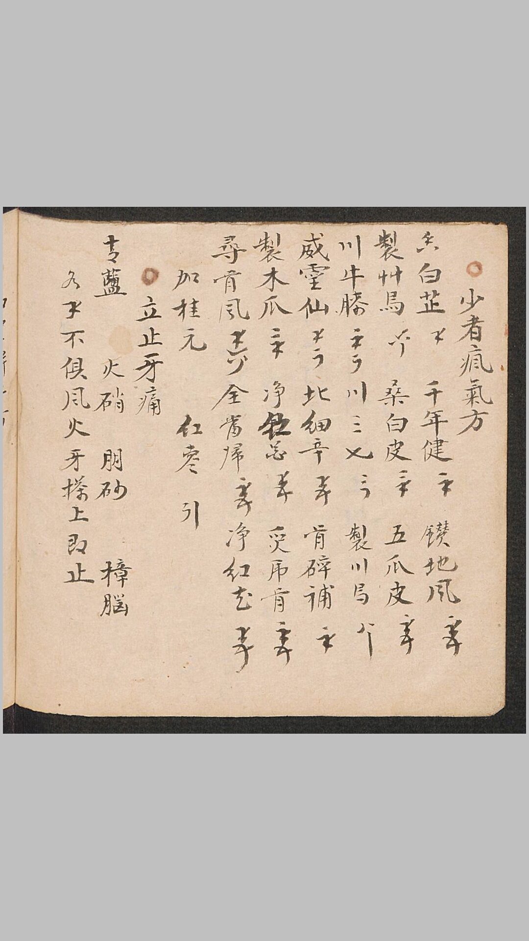 杂方