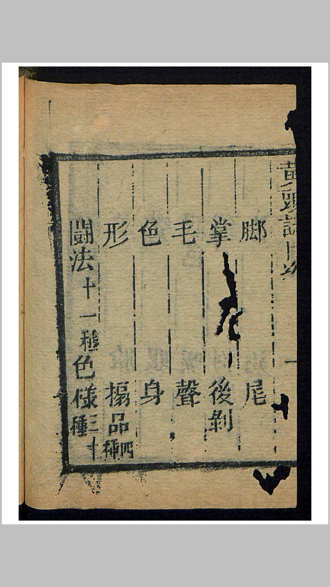 黄