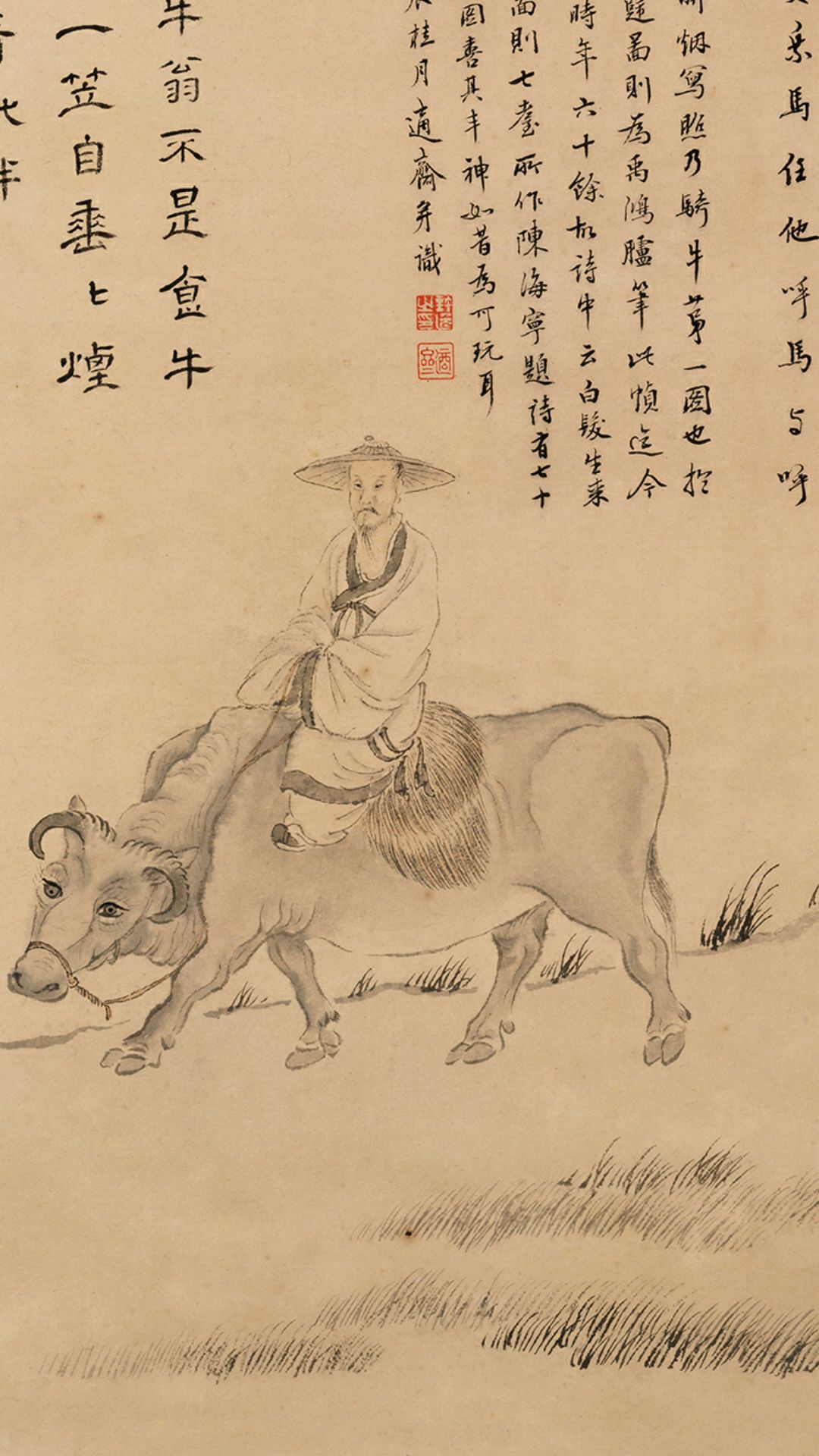 骑牛
