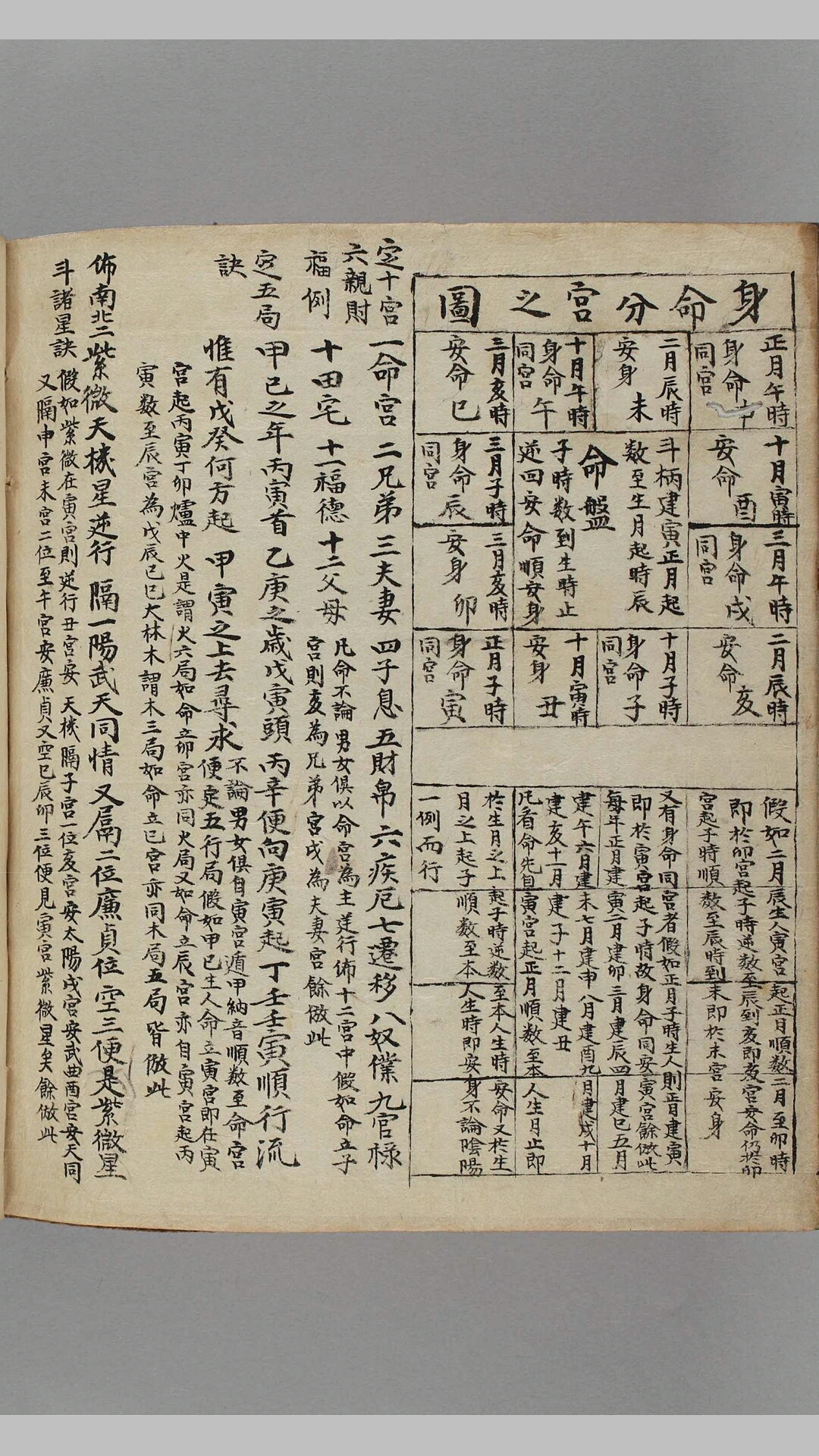 紫薇