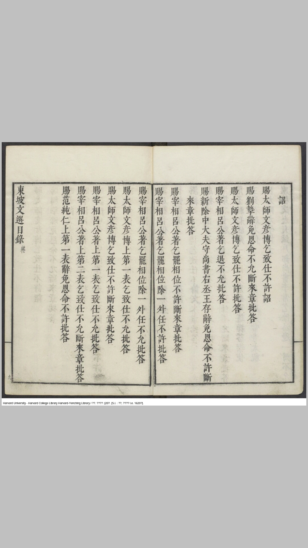 东坡