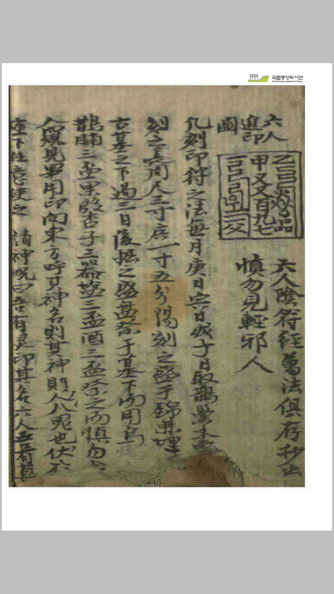 仙