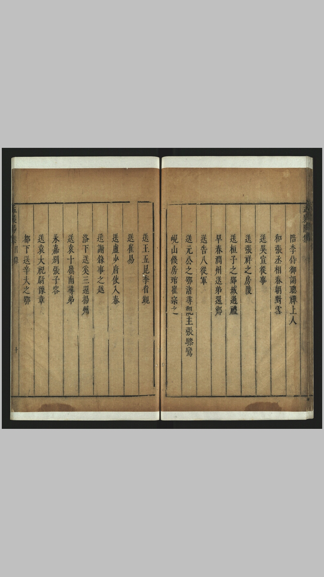 孟阳