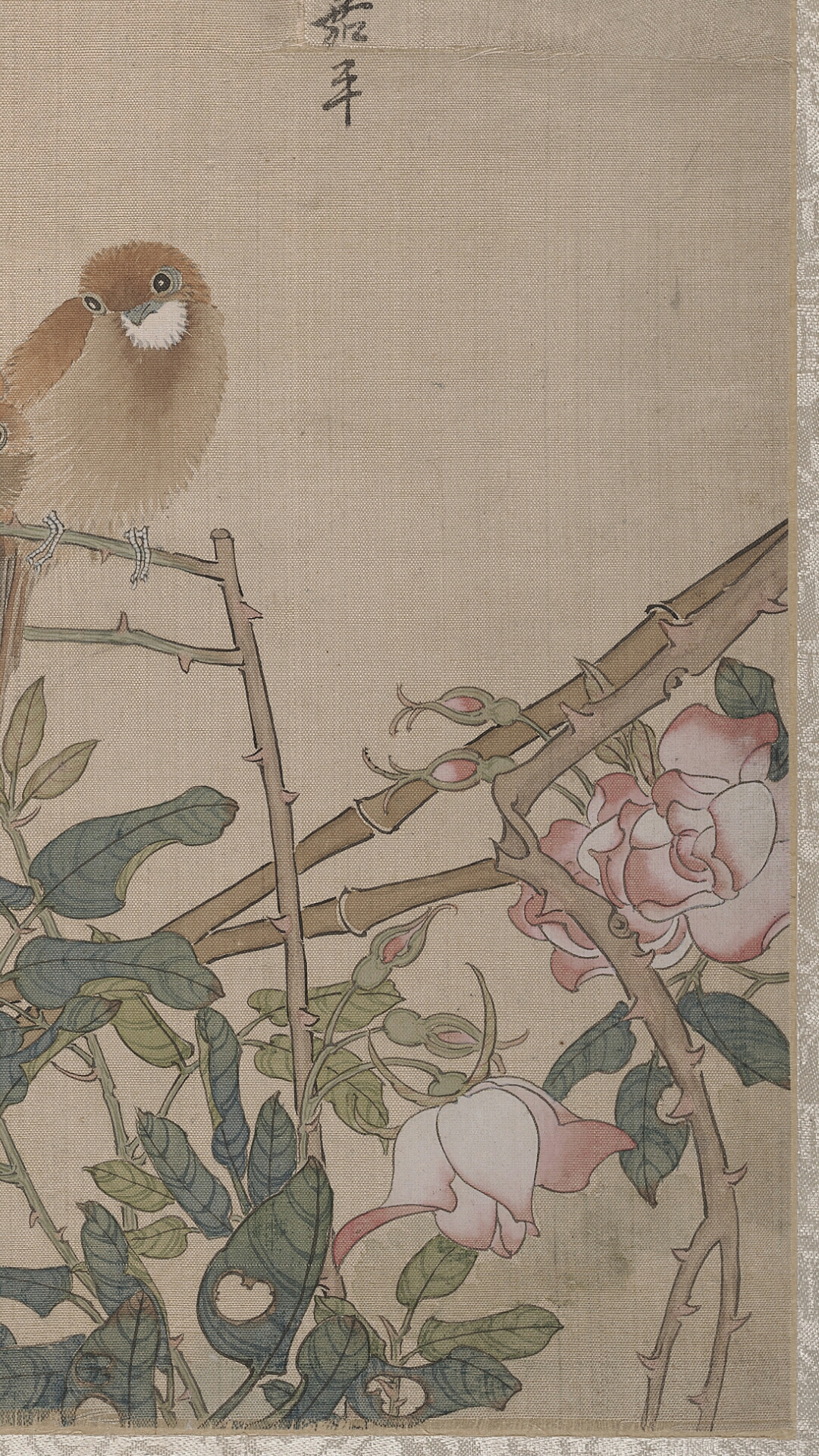 花鸟