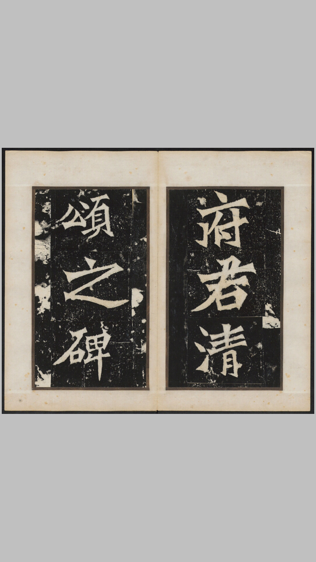龙