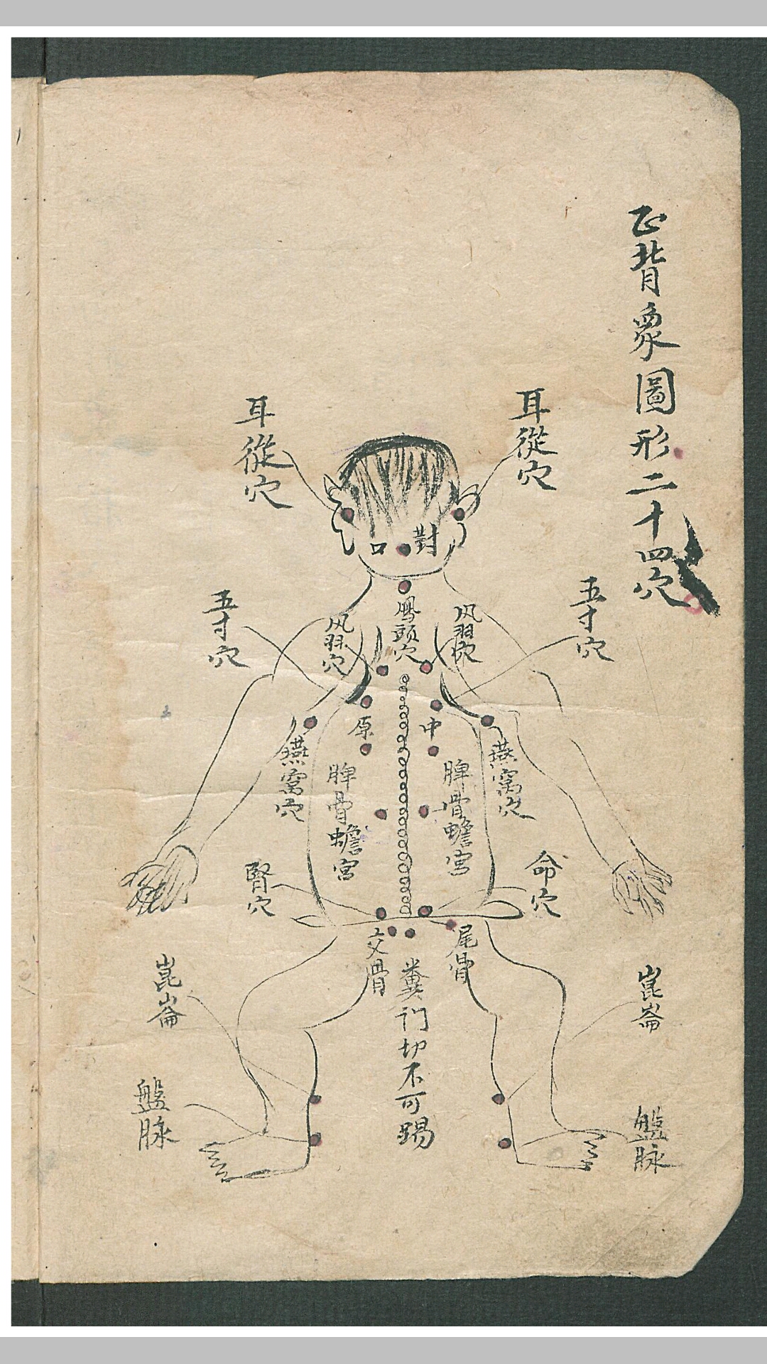 华佗